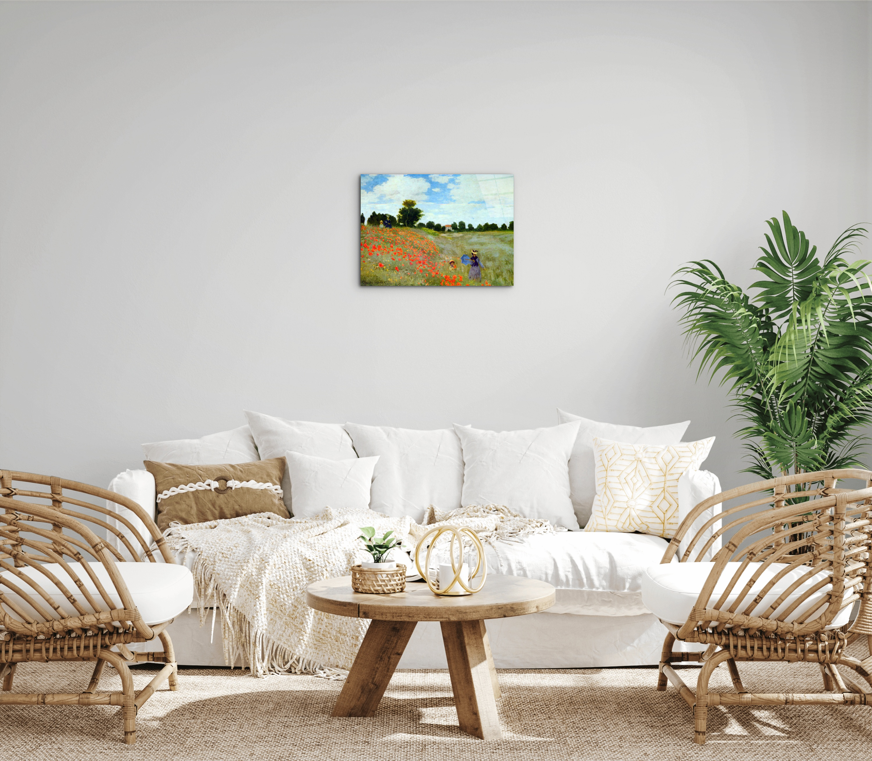 poppies-flowersas91879-