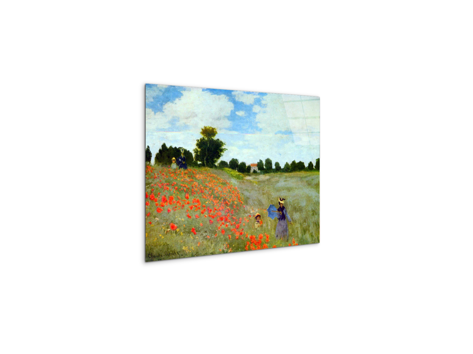 poppies-flowersas91879-