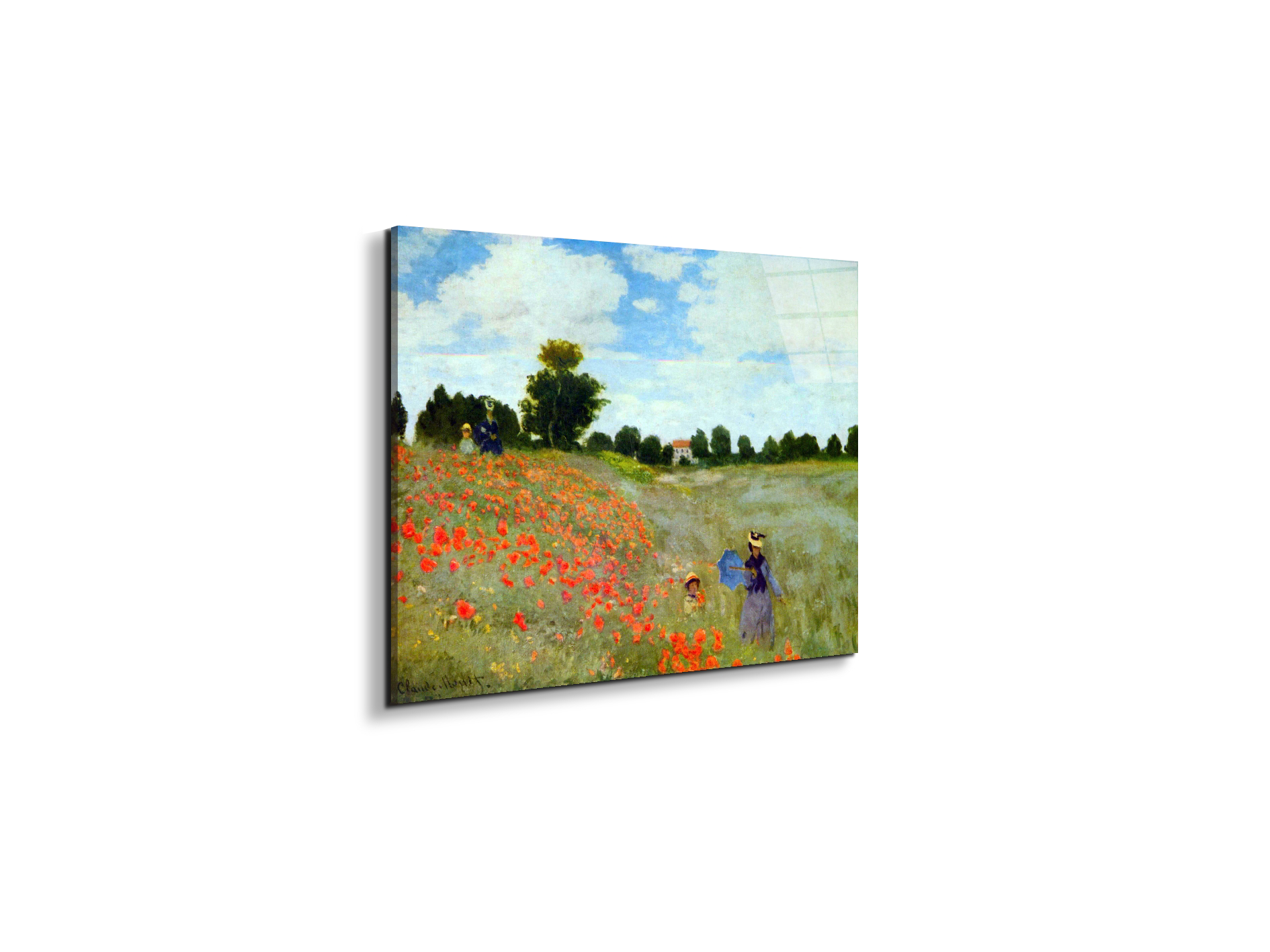 poppies-flowersas91879-