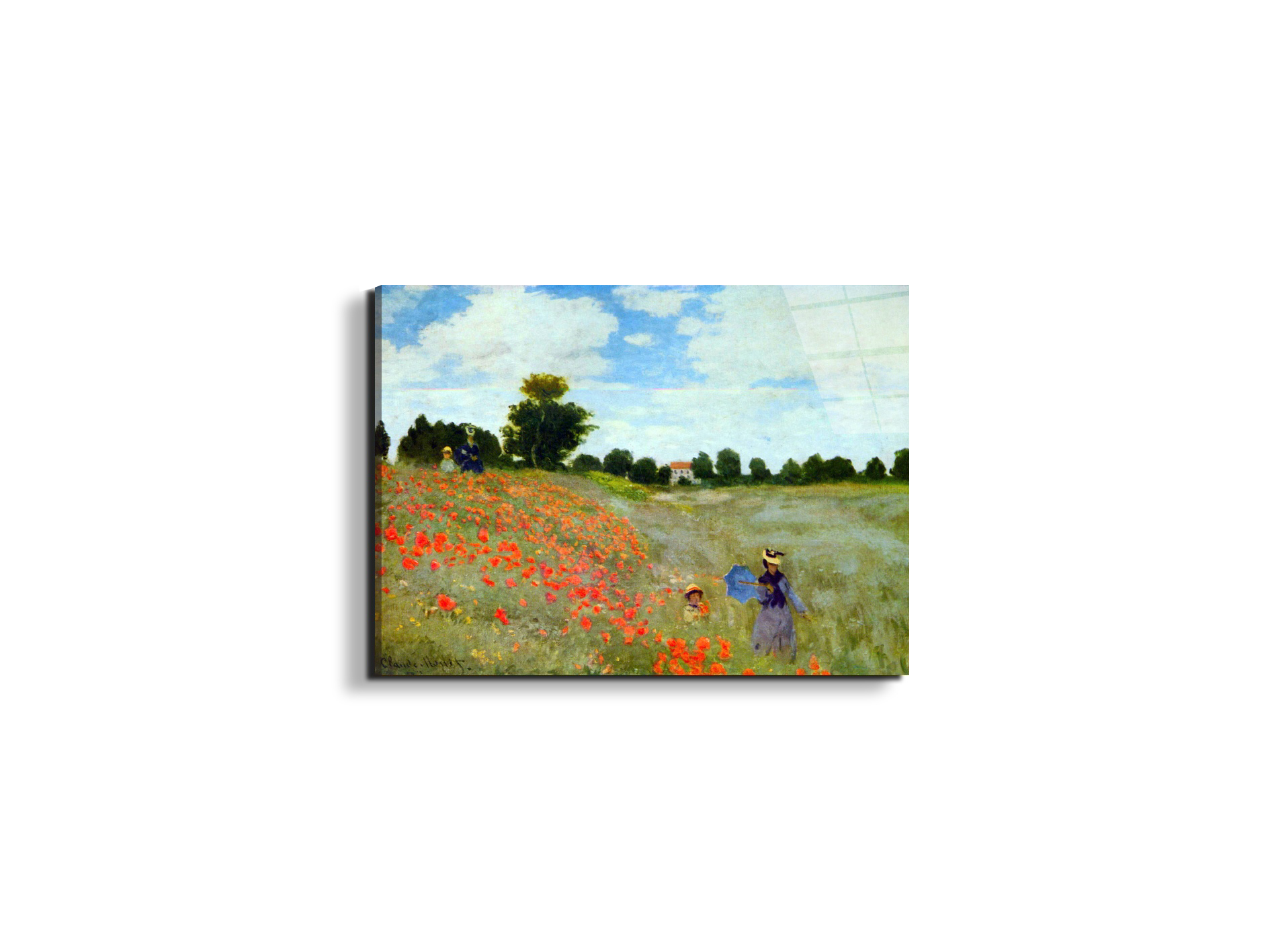 poppies-flowersas91879-