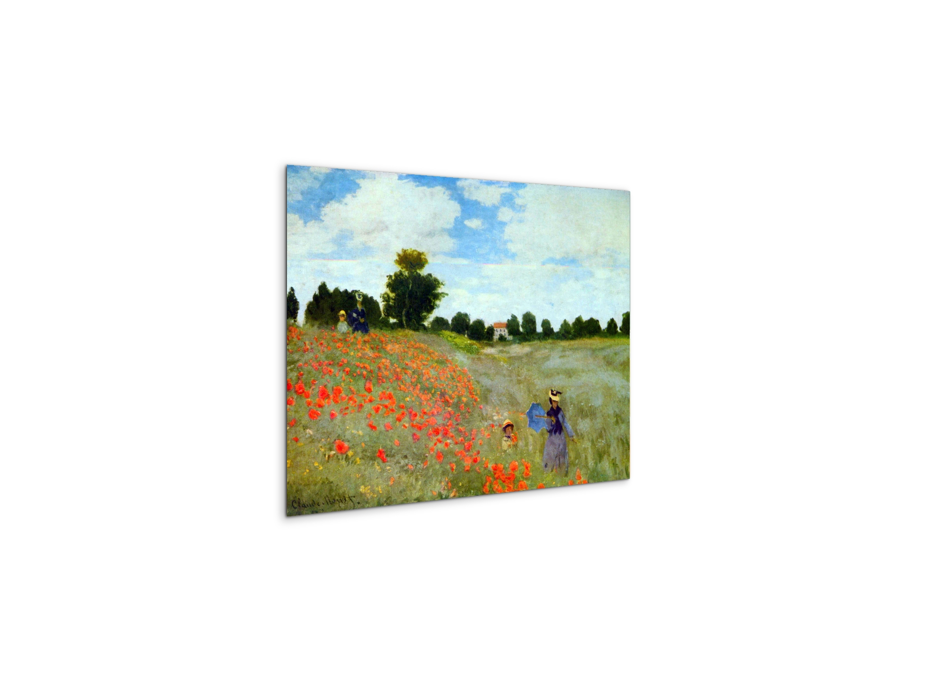 poppies-summer-afternoonas91880-