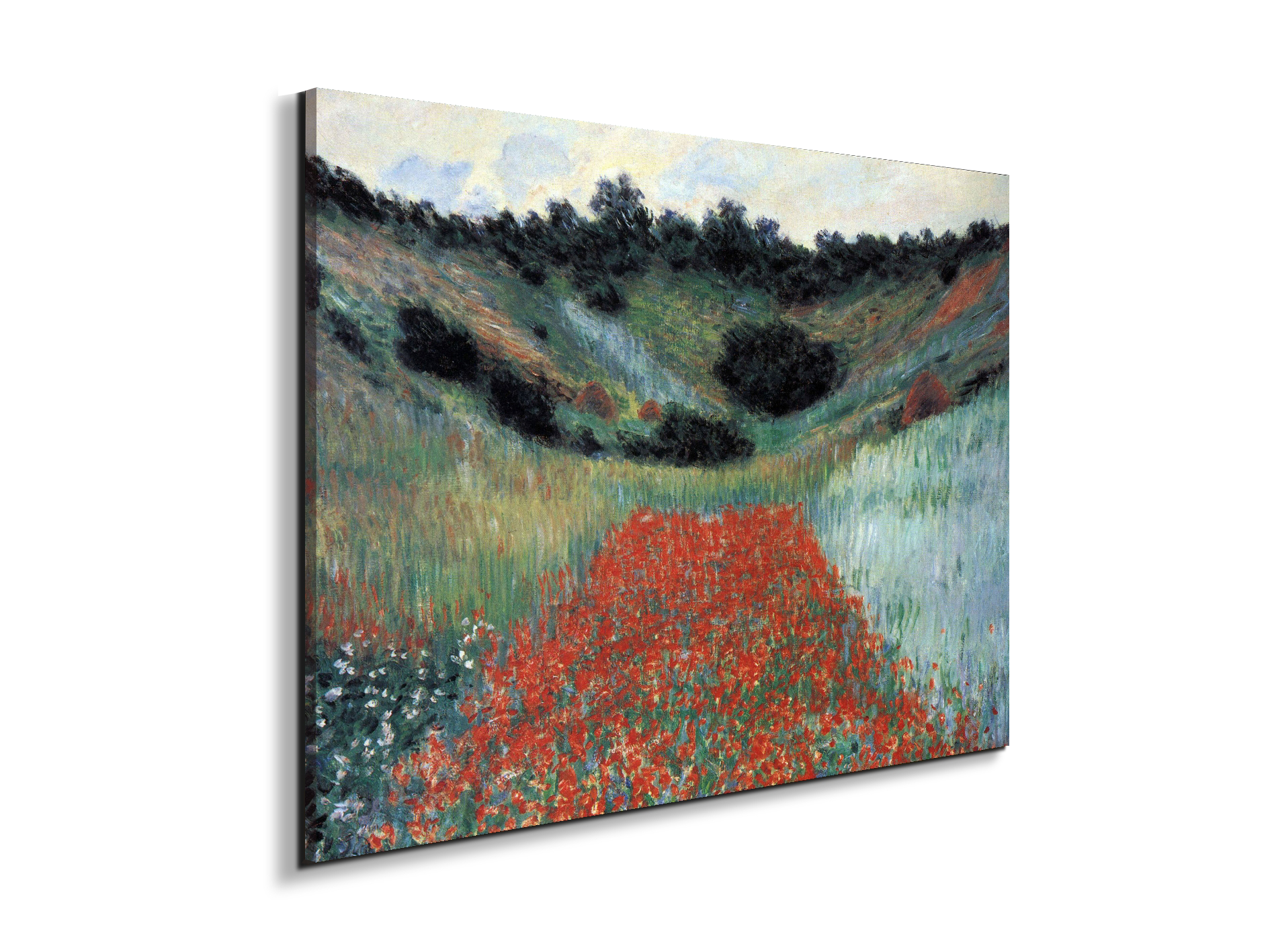 poppy-field-in-givernyas91881-