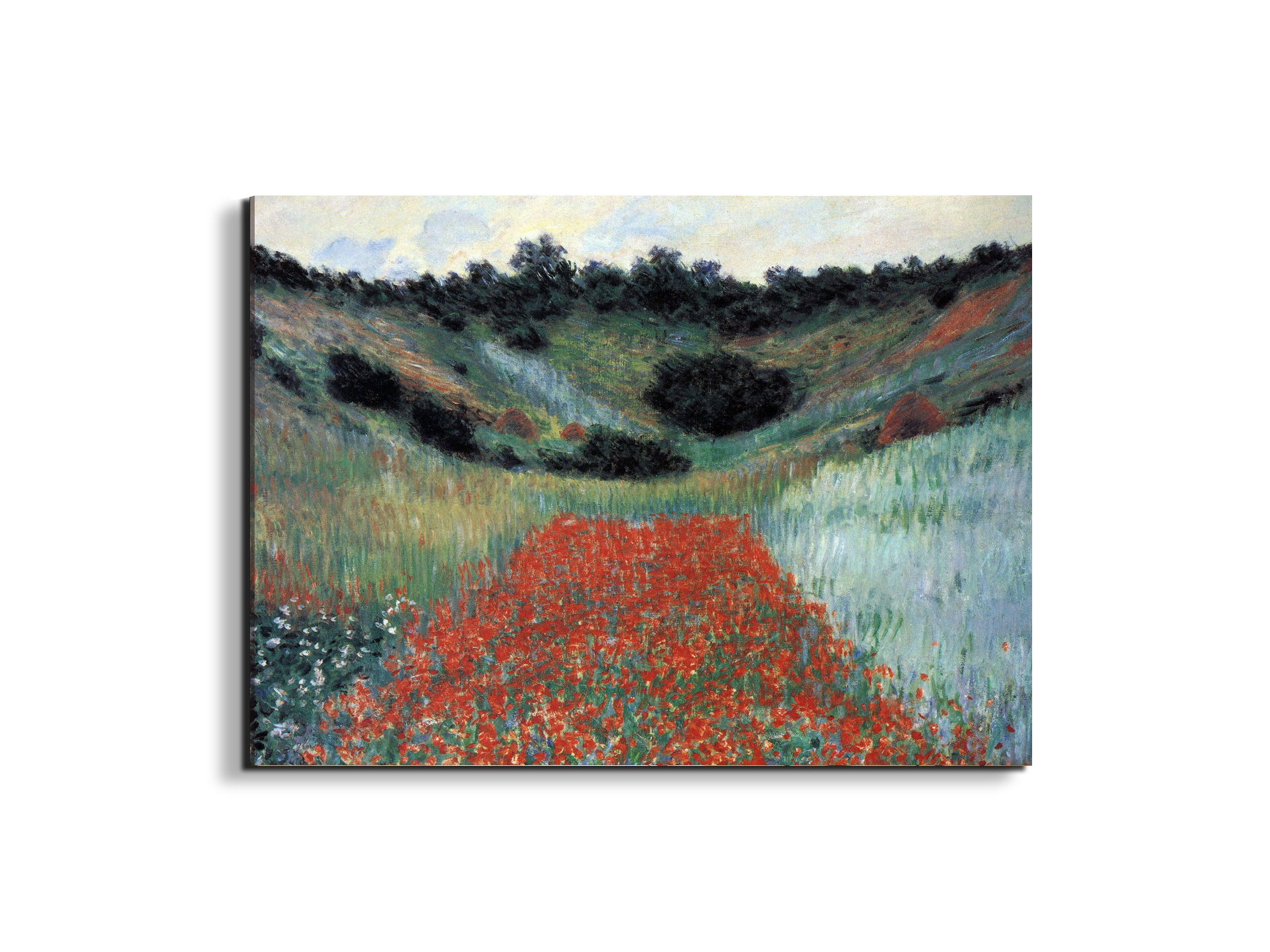 poppy-field-in-givernyas91881-