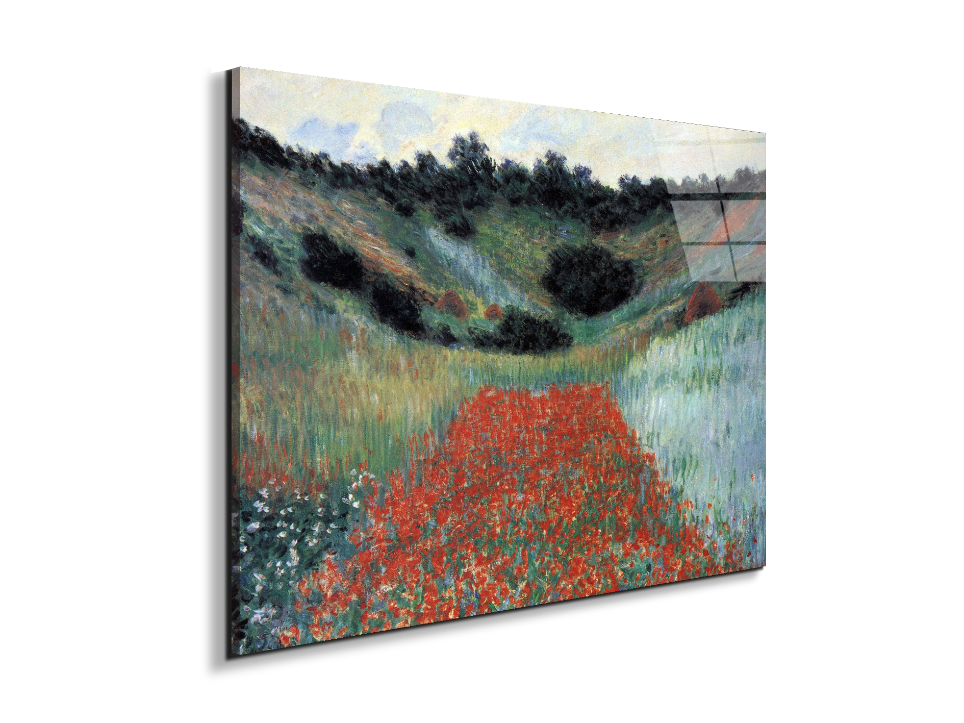 poppy-field-in-givernyas91881-