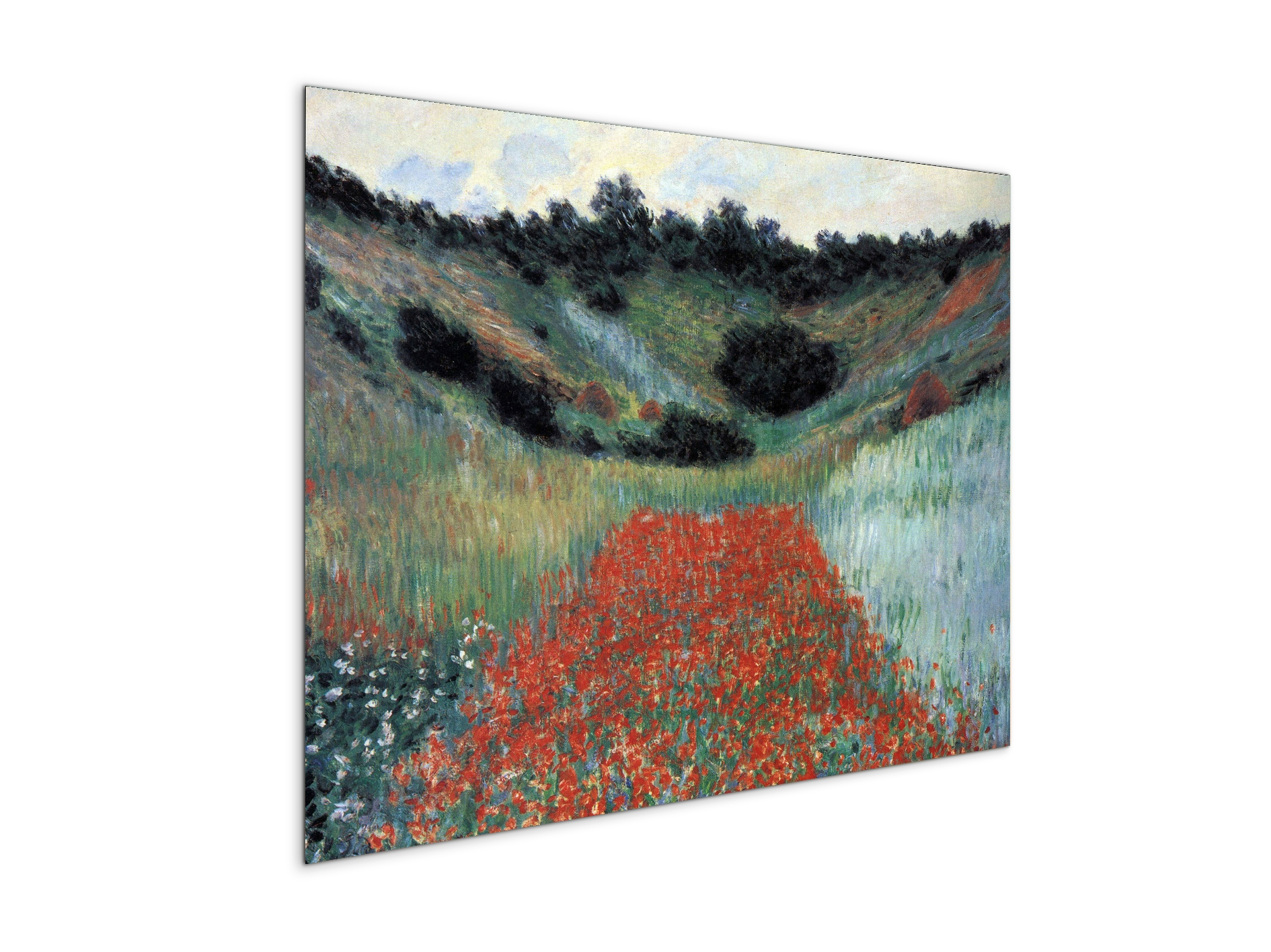 poppy-field-in-givernyas91881-
