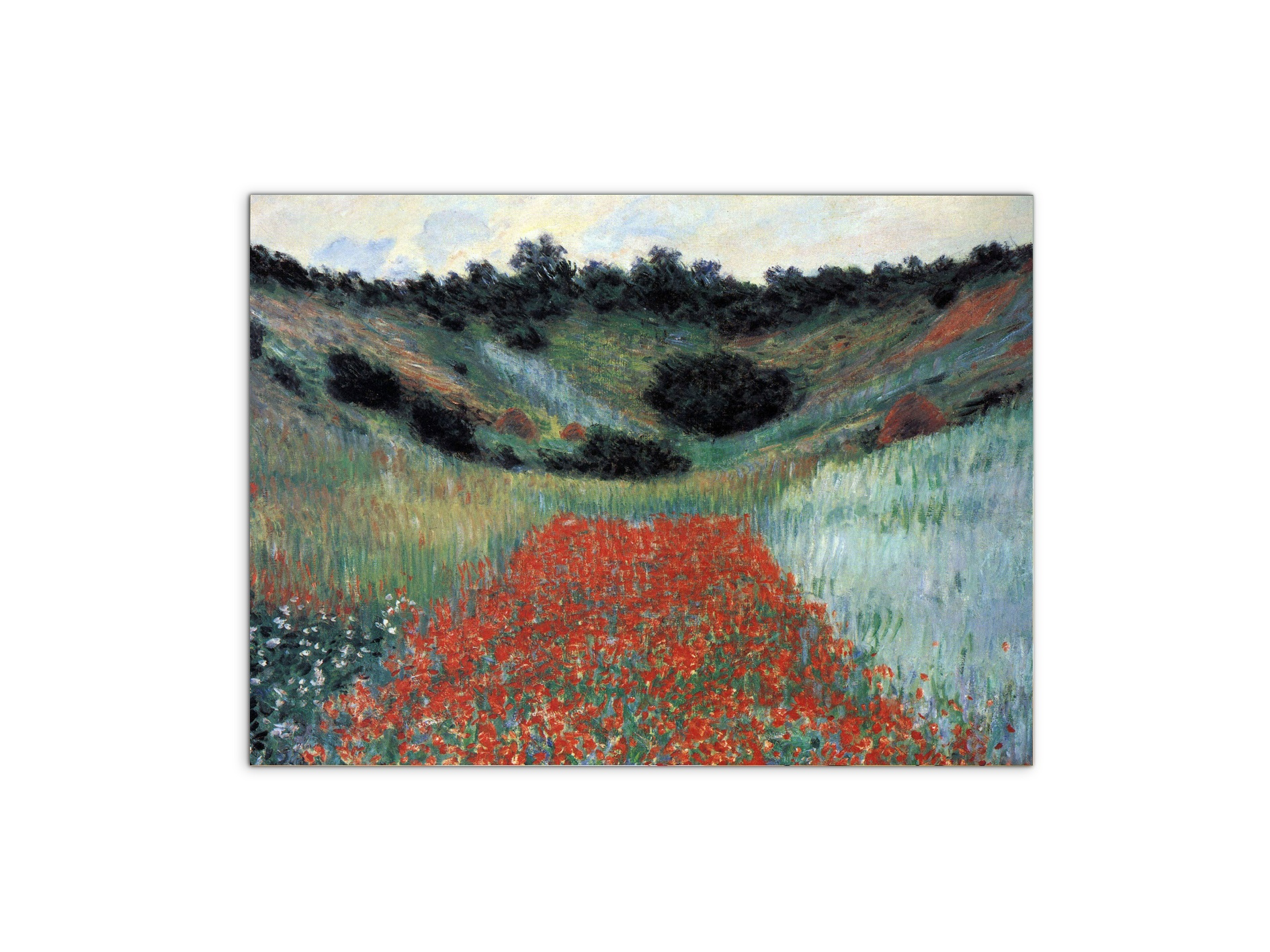 poppy-field-in-givernyas91881-