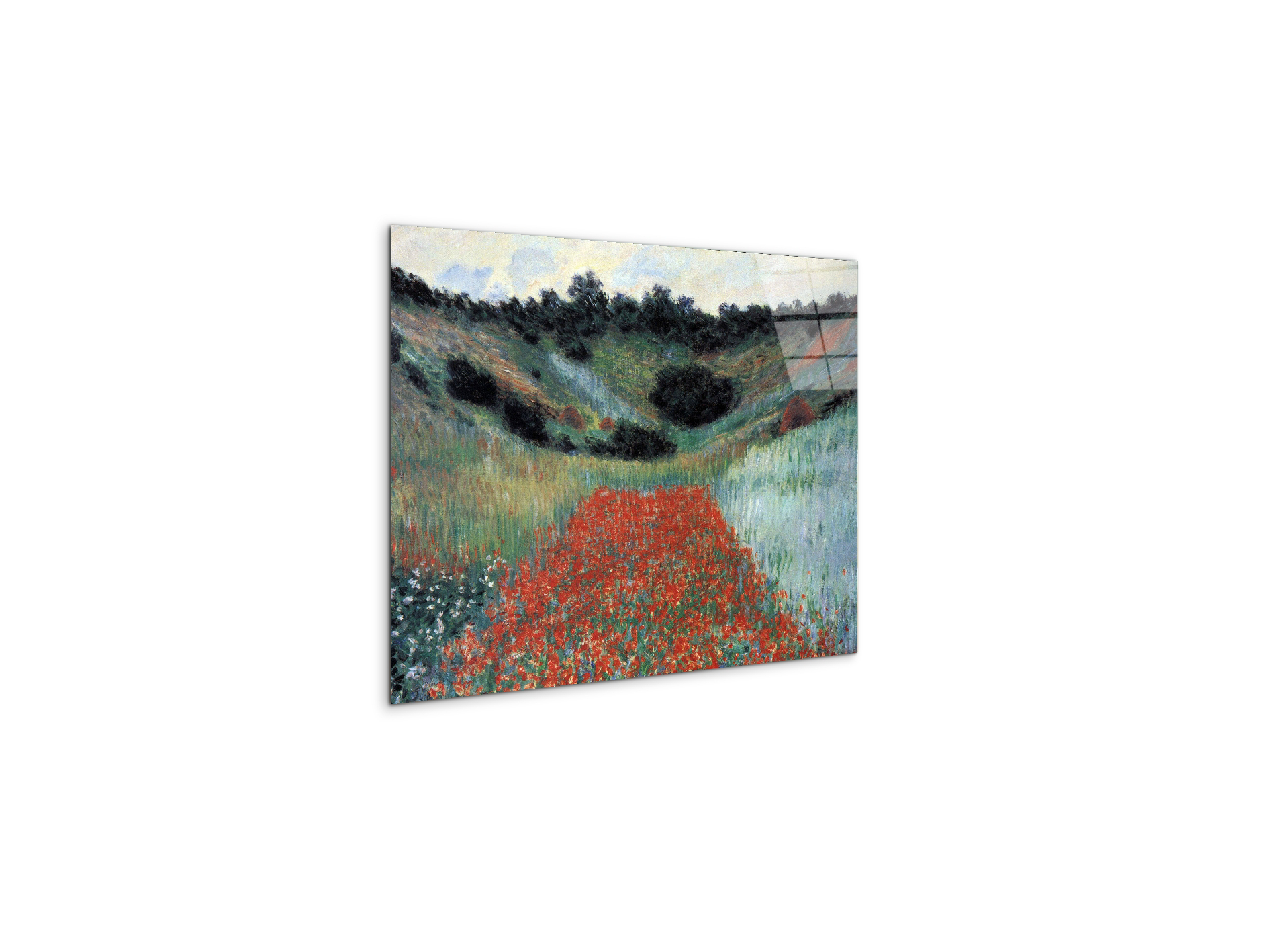 poppy-field-in-givernyas91881-