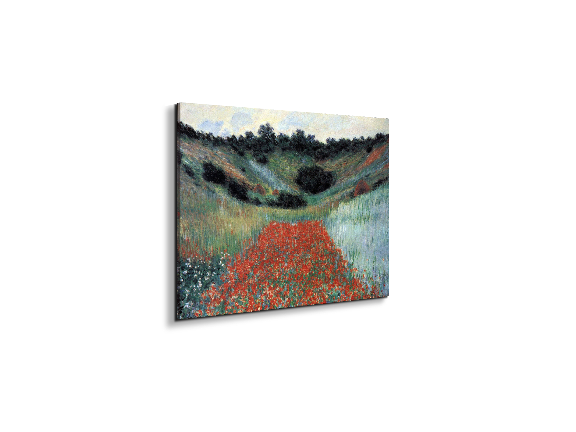 poppy-field-in-givernyas91881-