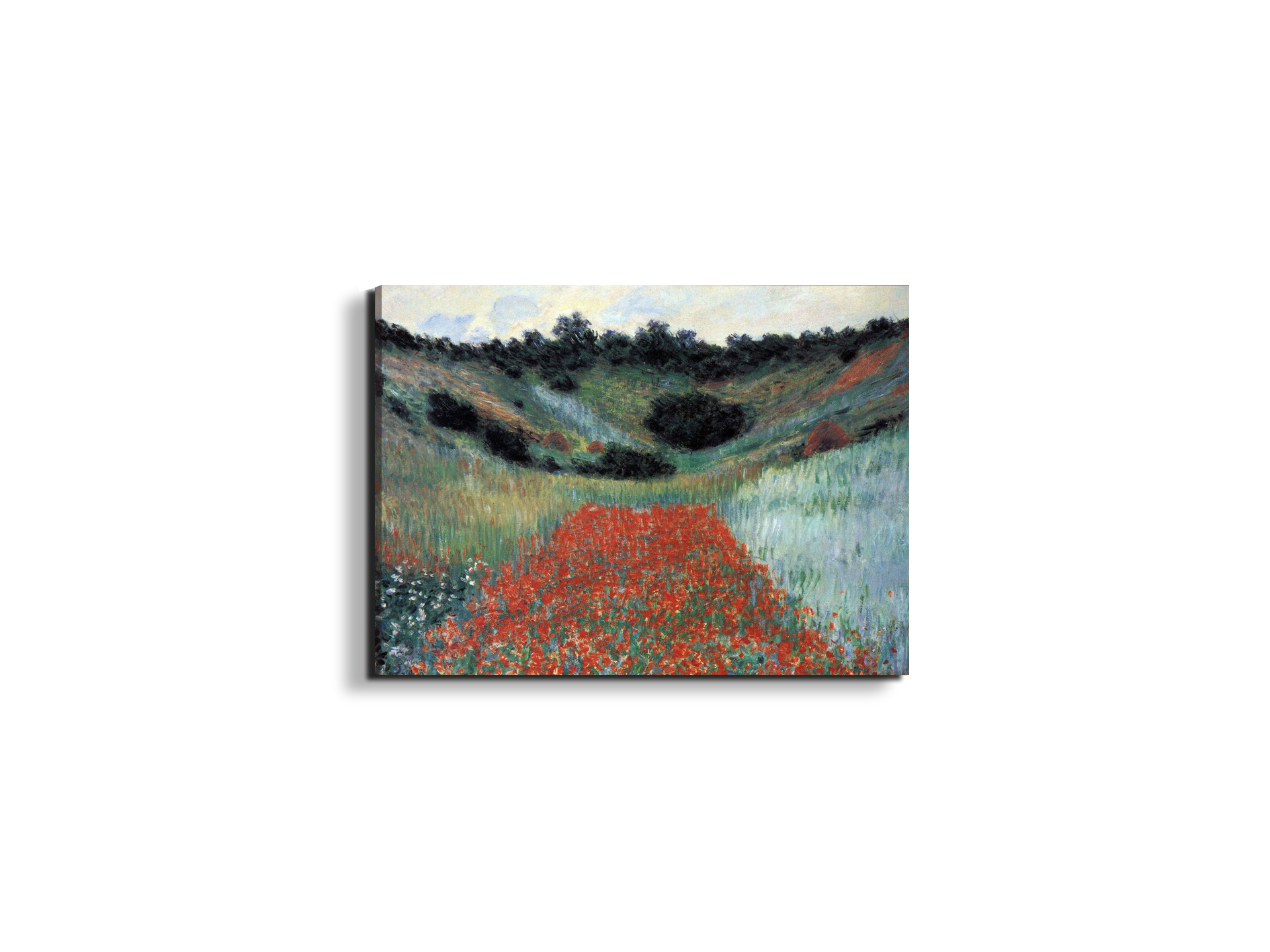 poppy-field-in-givernyas91881-