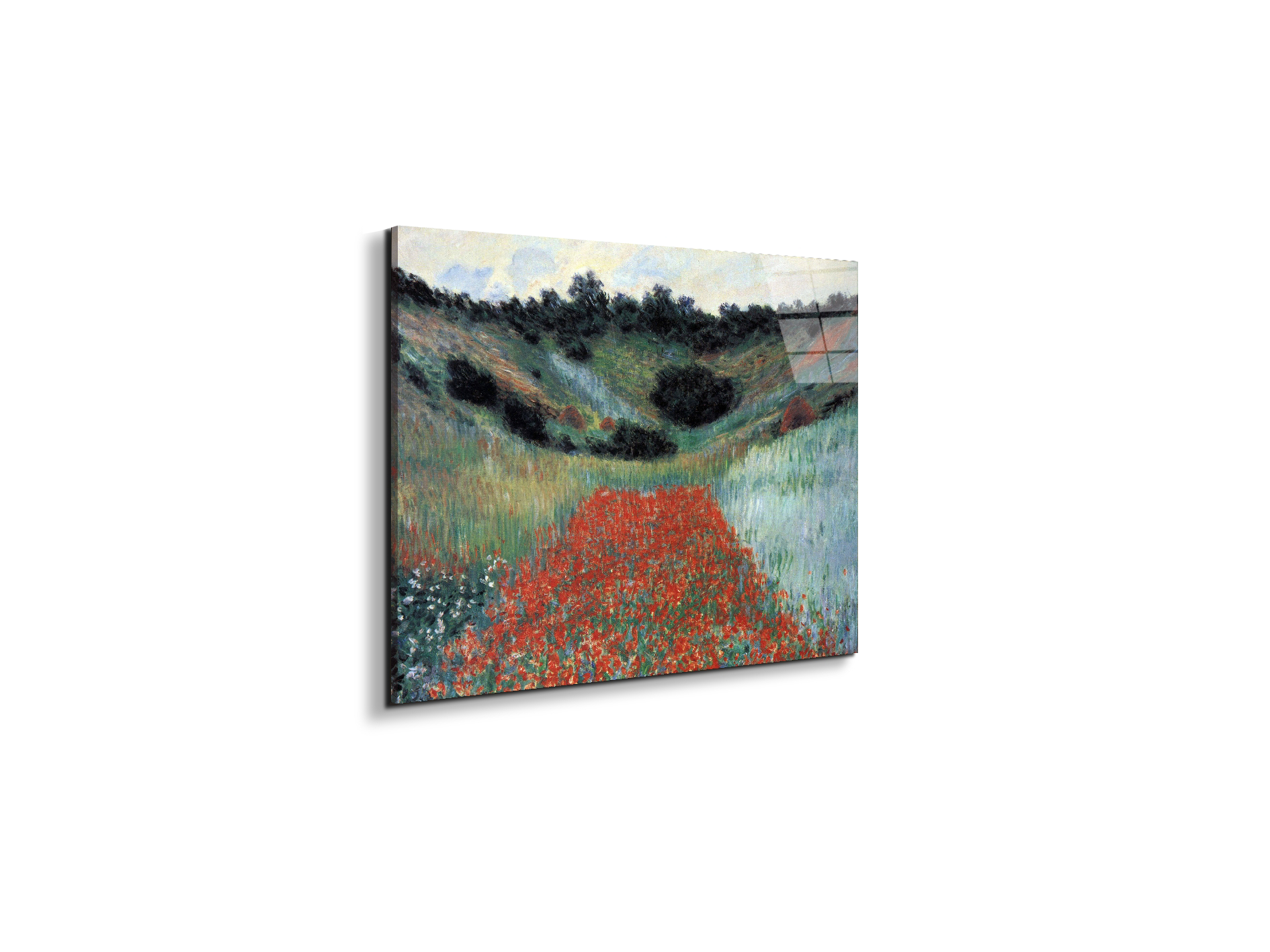 poppy-field-in-givernyas91881-