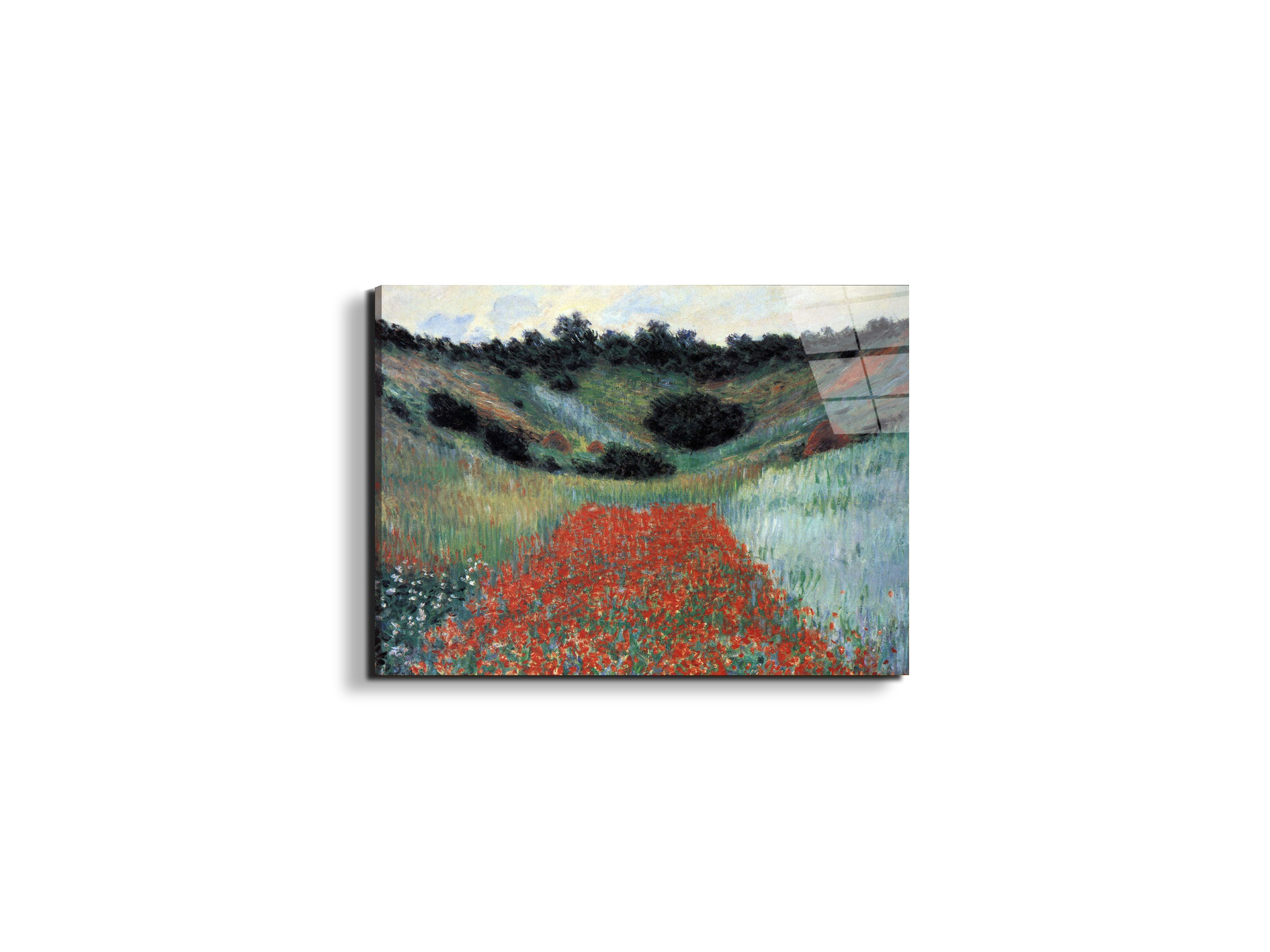 poppy-field-in-givernyas91881-