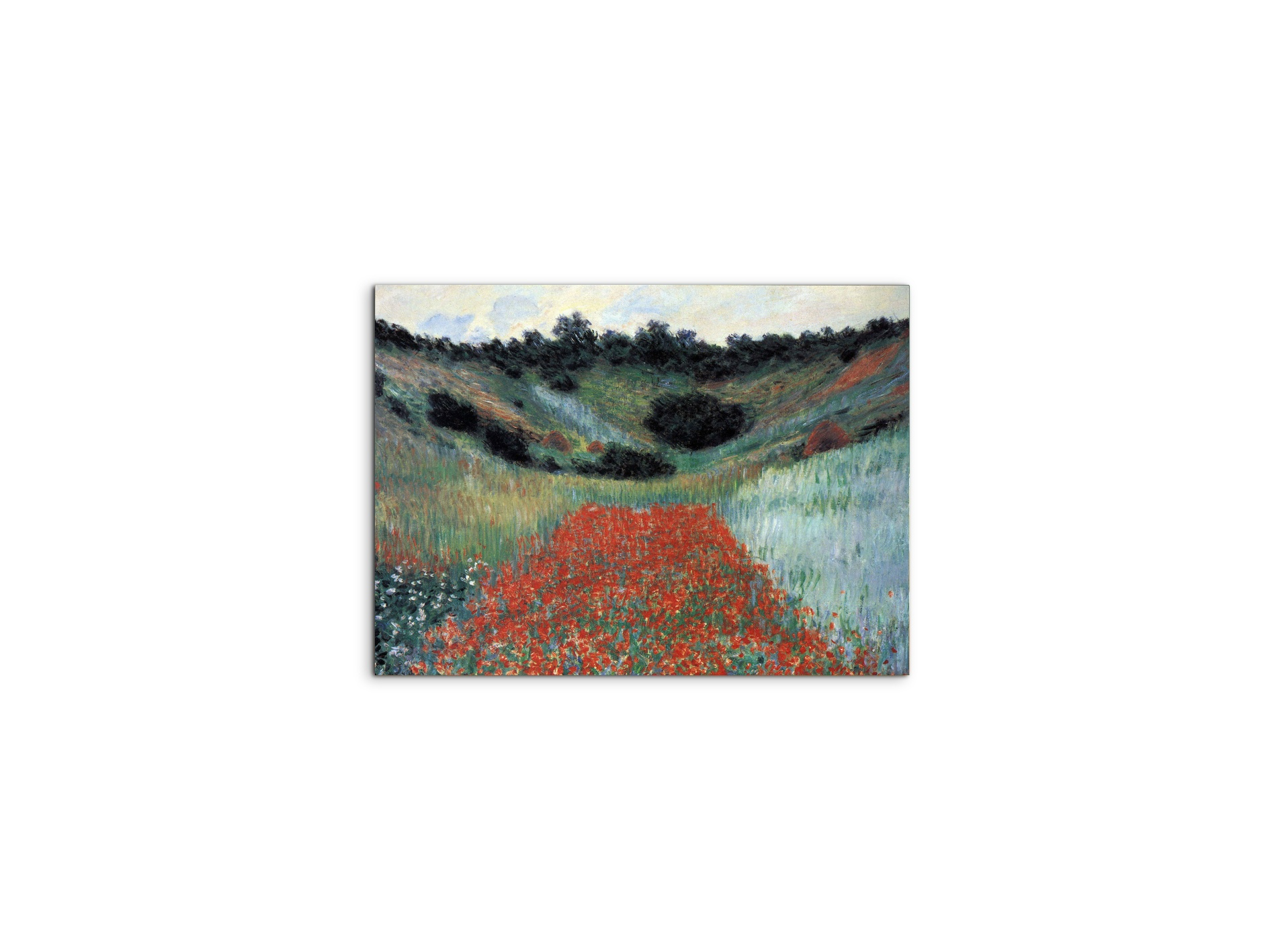poppy-field-in-givernyas91881-