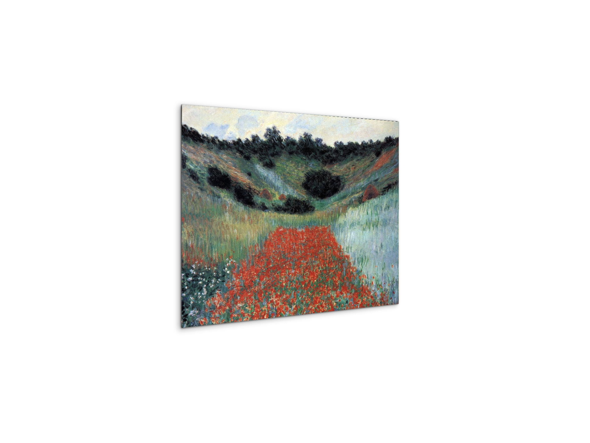 poppy-field-in-givernyas91881-