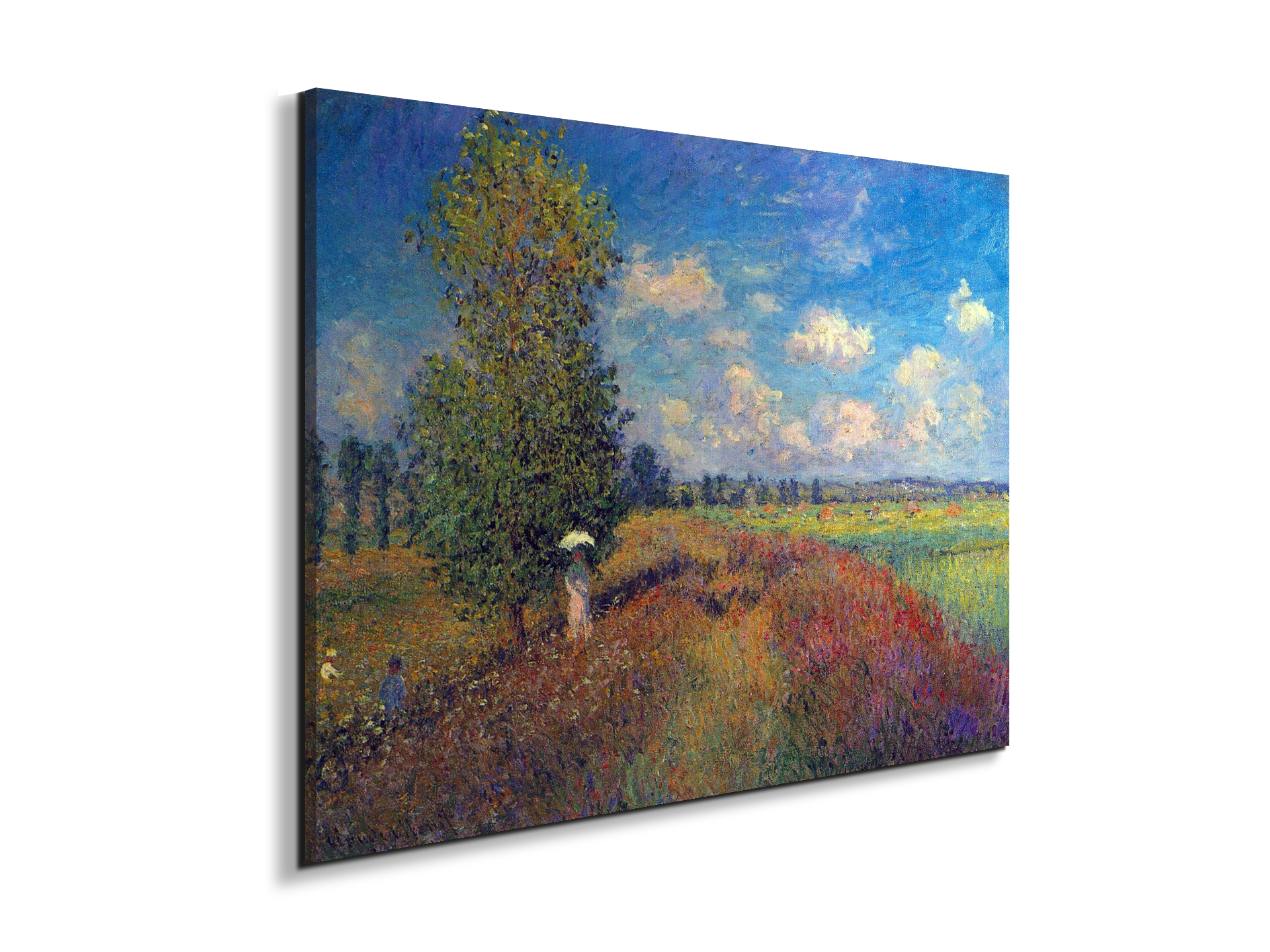 poppy-field-in-summeras91883-