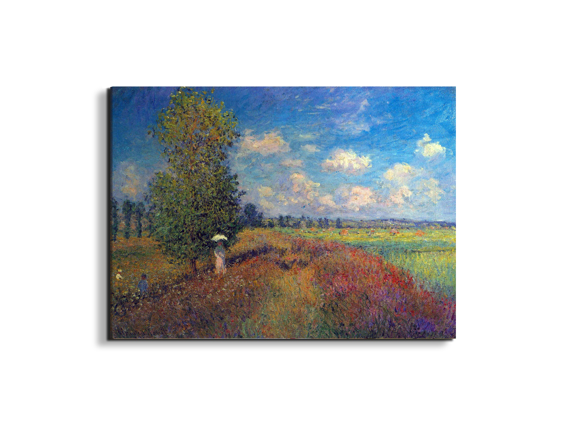 poppy-field-in-summeras91883-