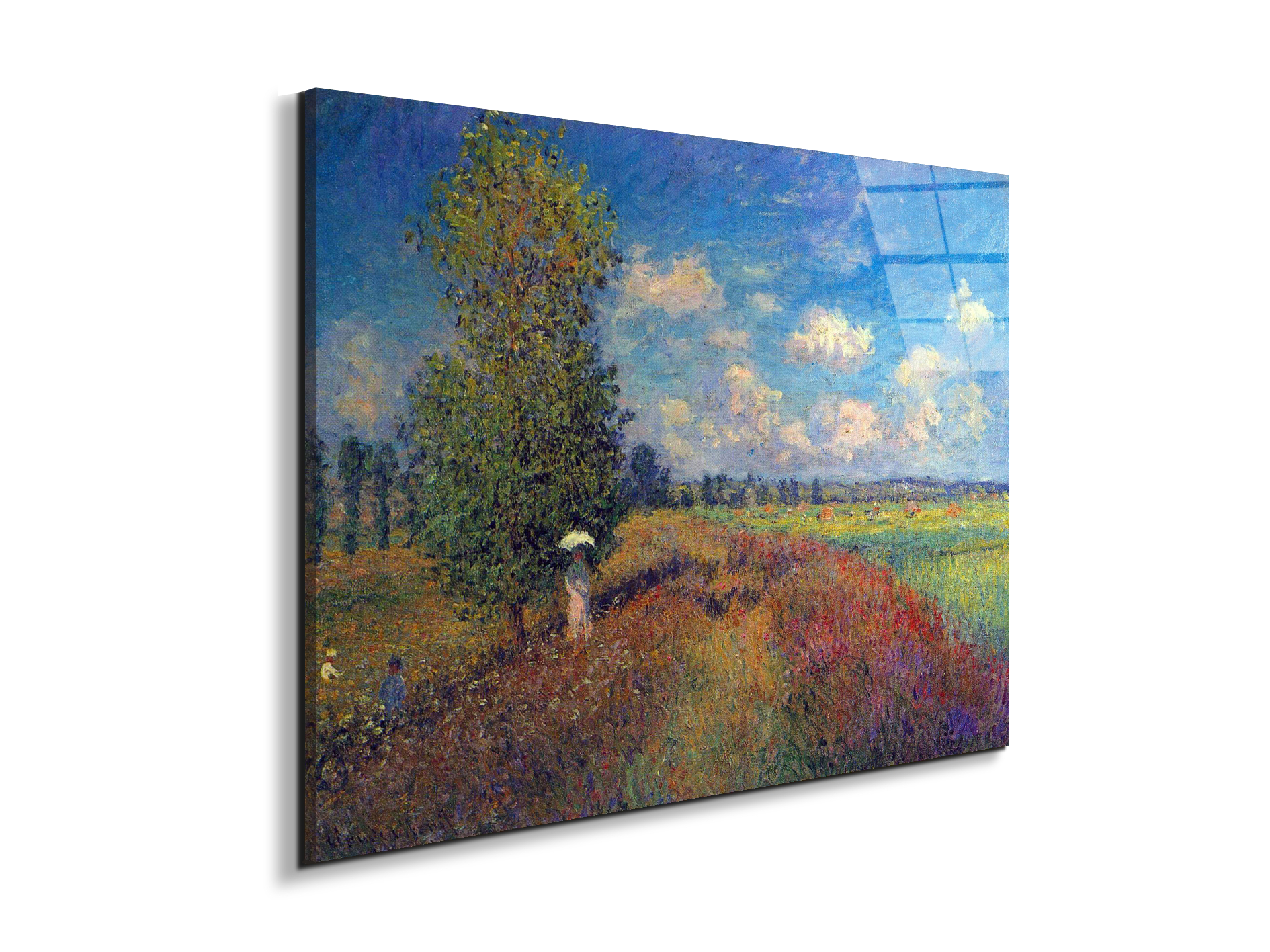 poppy-field-in-summeras91883-