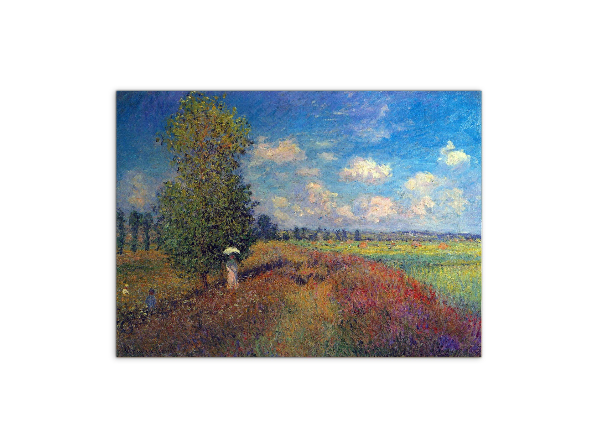 poppy-field-in-summeras91883-
