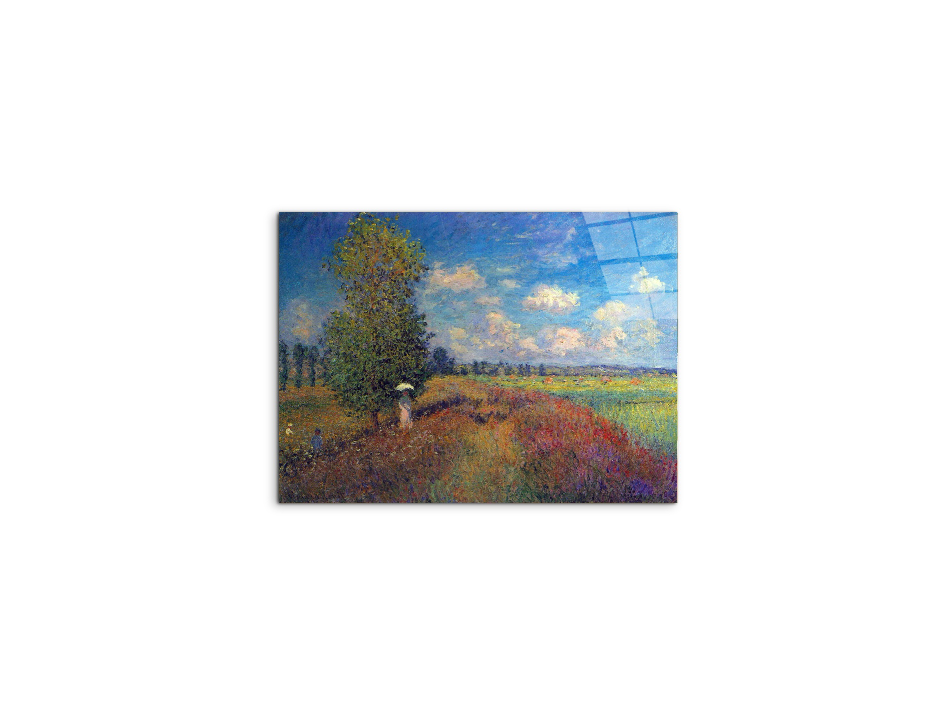poppy-field-in-summeras91883-