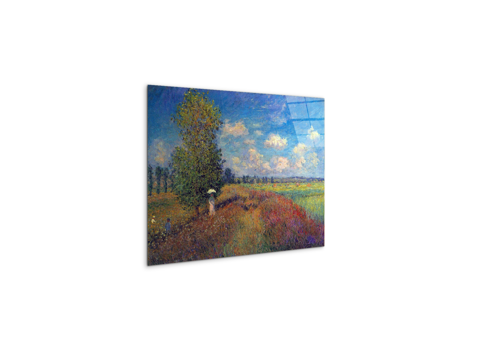 poppy-field-in-summeras91883-