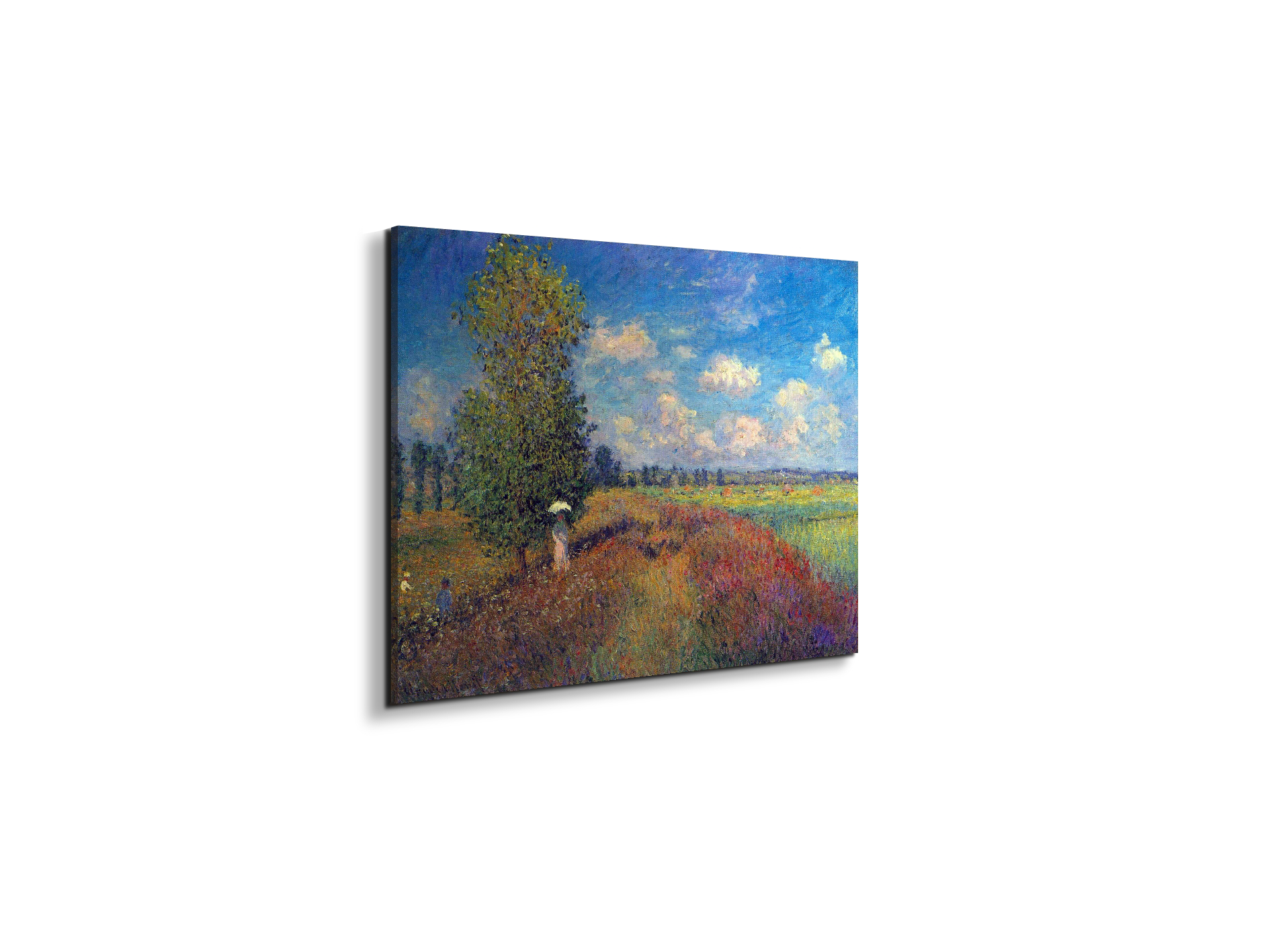 poppy-field-in-summeras91883-