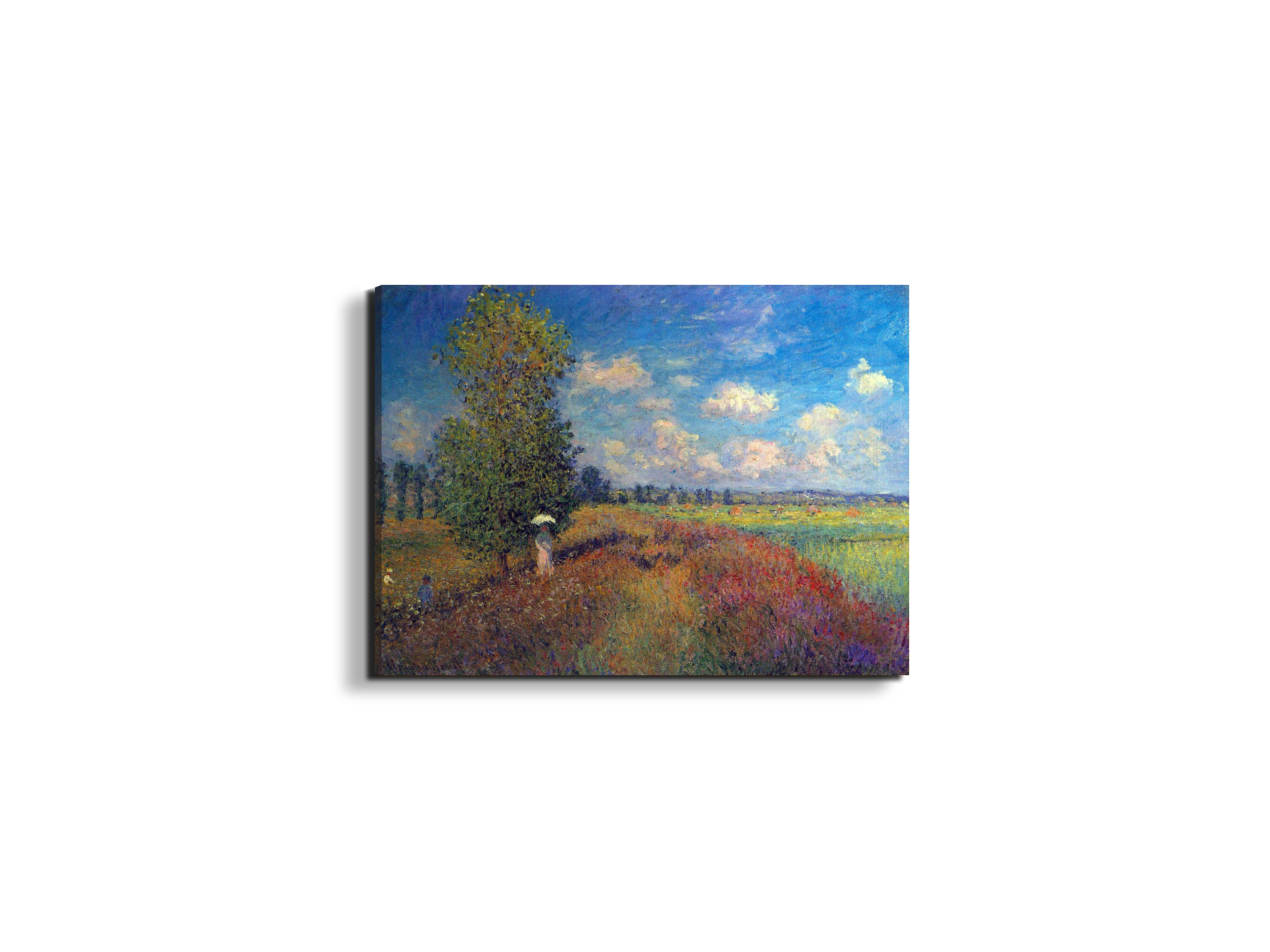 poppy-field-in-summeras91883-