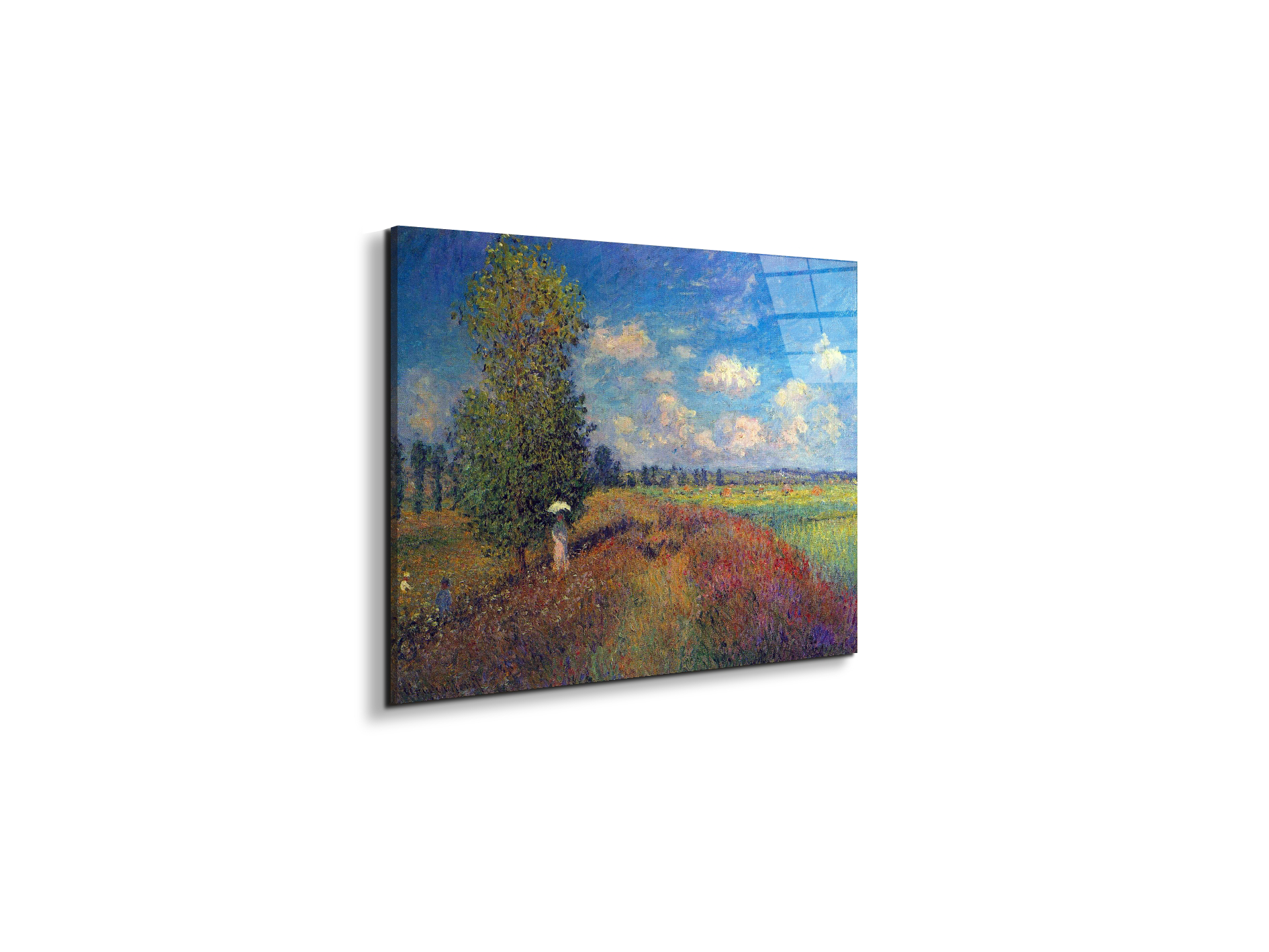 poppy-field-in-summeras91883-