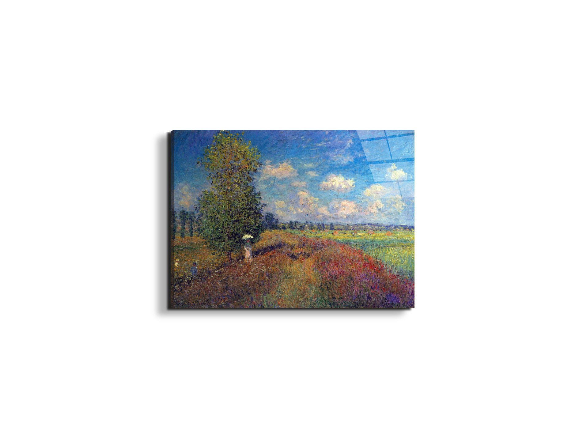 poppy-field-in-summeras91883-