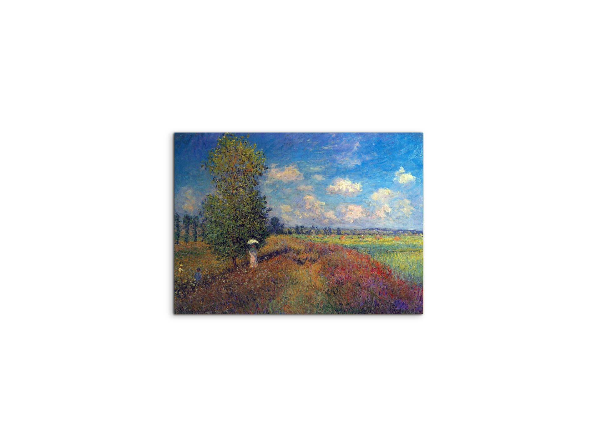 poppy-field-in-summeras91883-