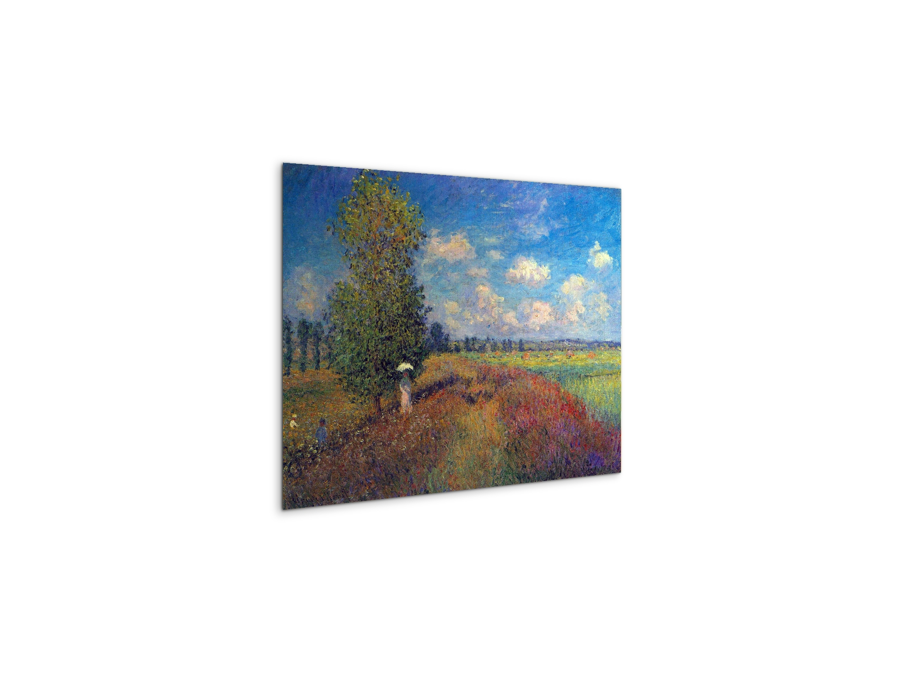 poppy-field-in-summeras91883-