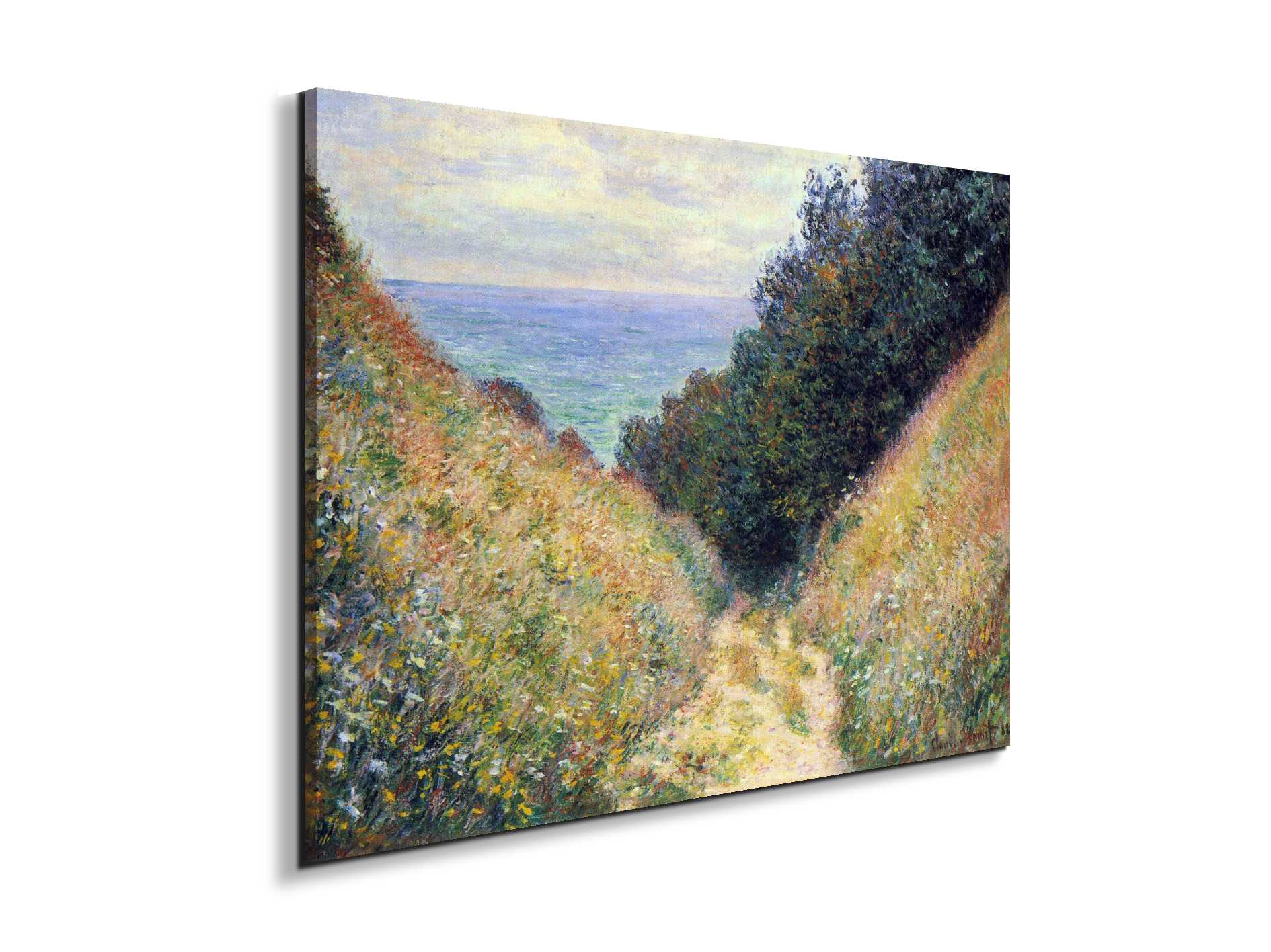 pourville-ias91891-