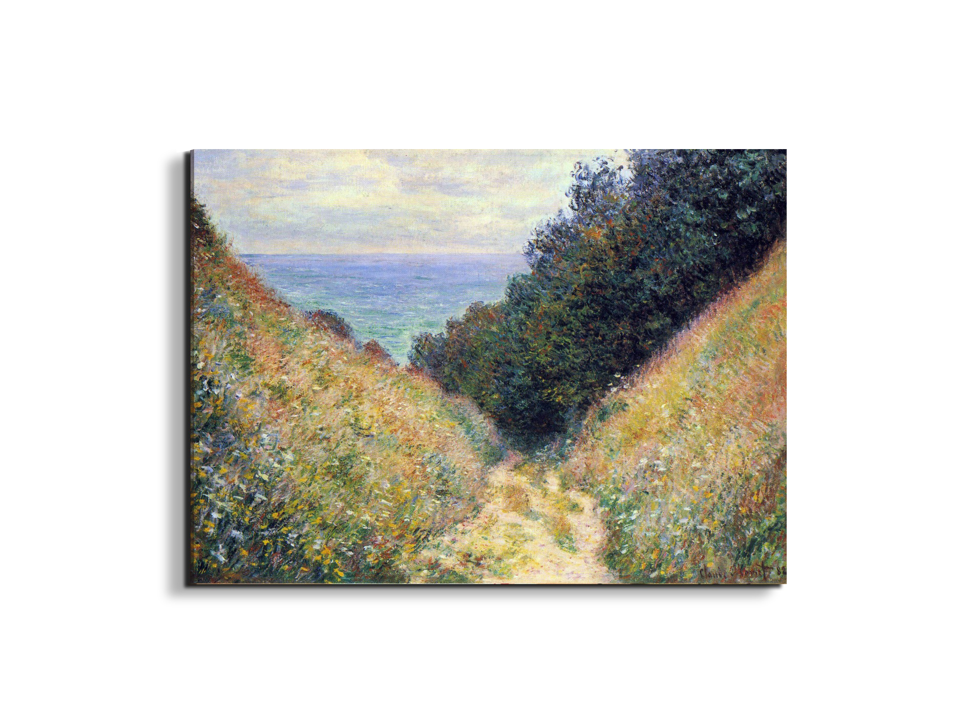 pourville-ias91891-
