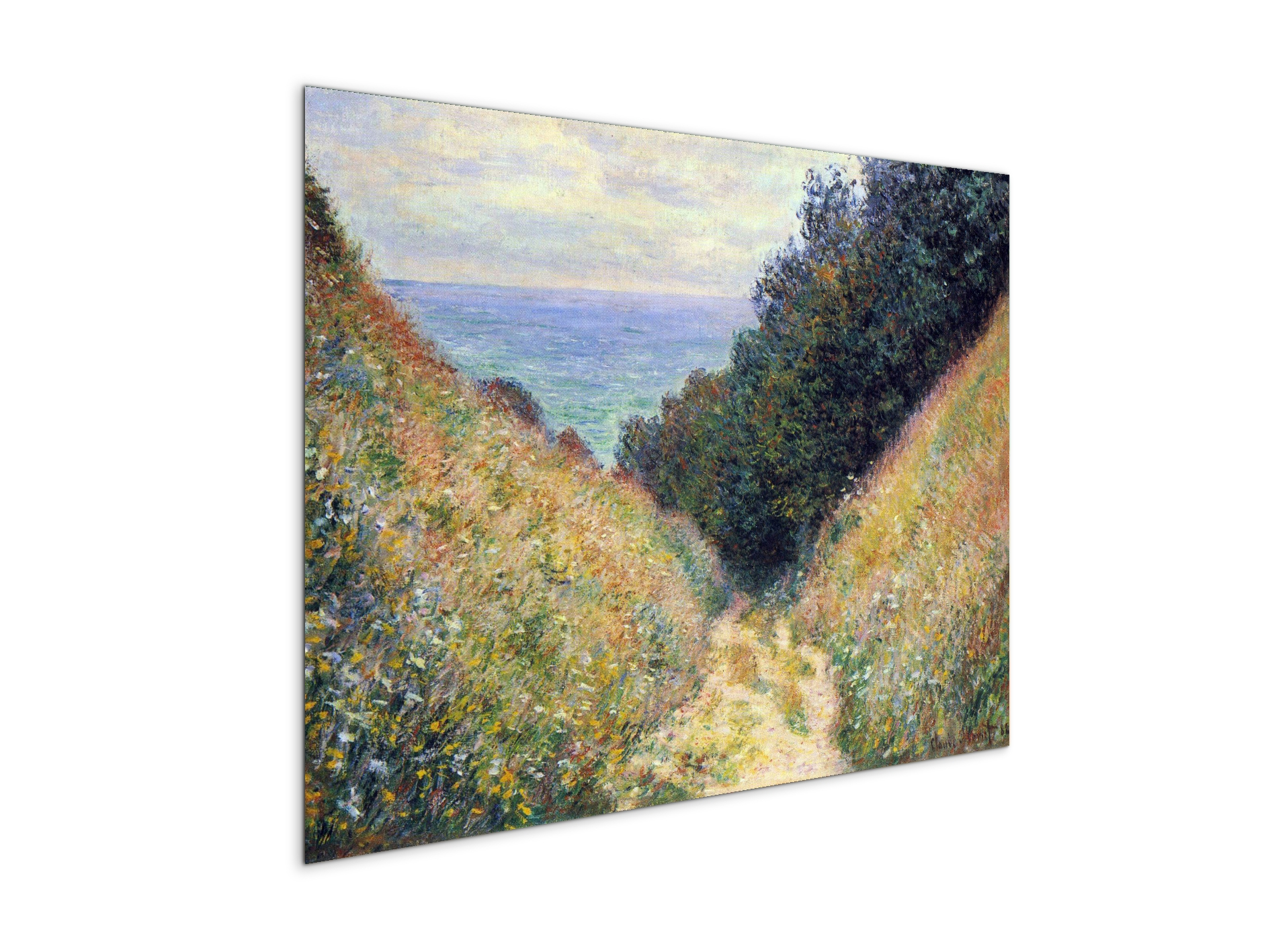 pourville-ias91891-