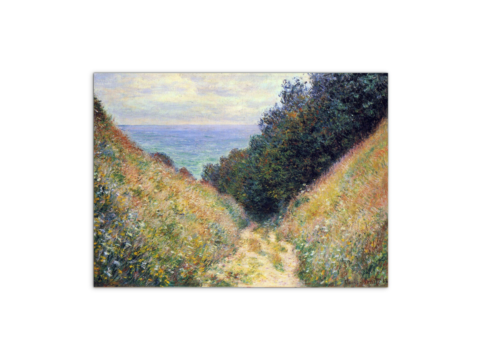 pourville-ias91891-