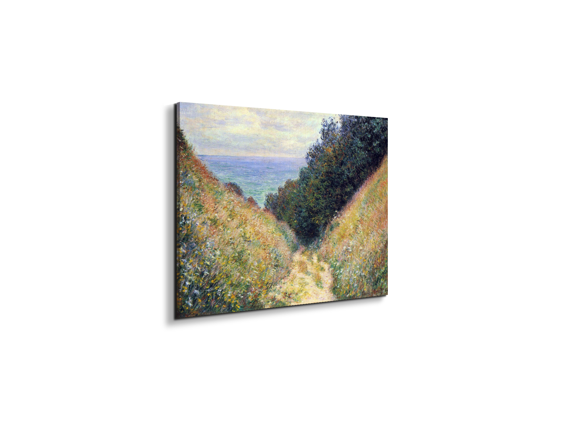 pourville-ias91891-