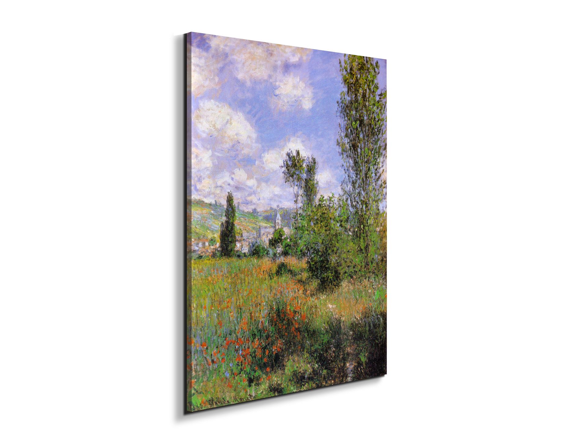sentier-ile-saint-martin-1880as91923-