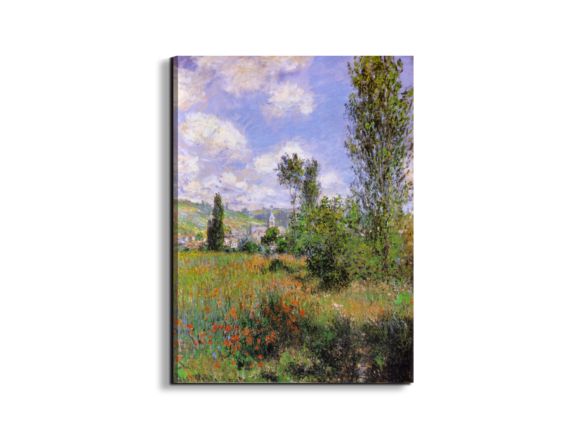 sentier-ile-saint-martin-1880as91923-