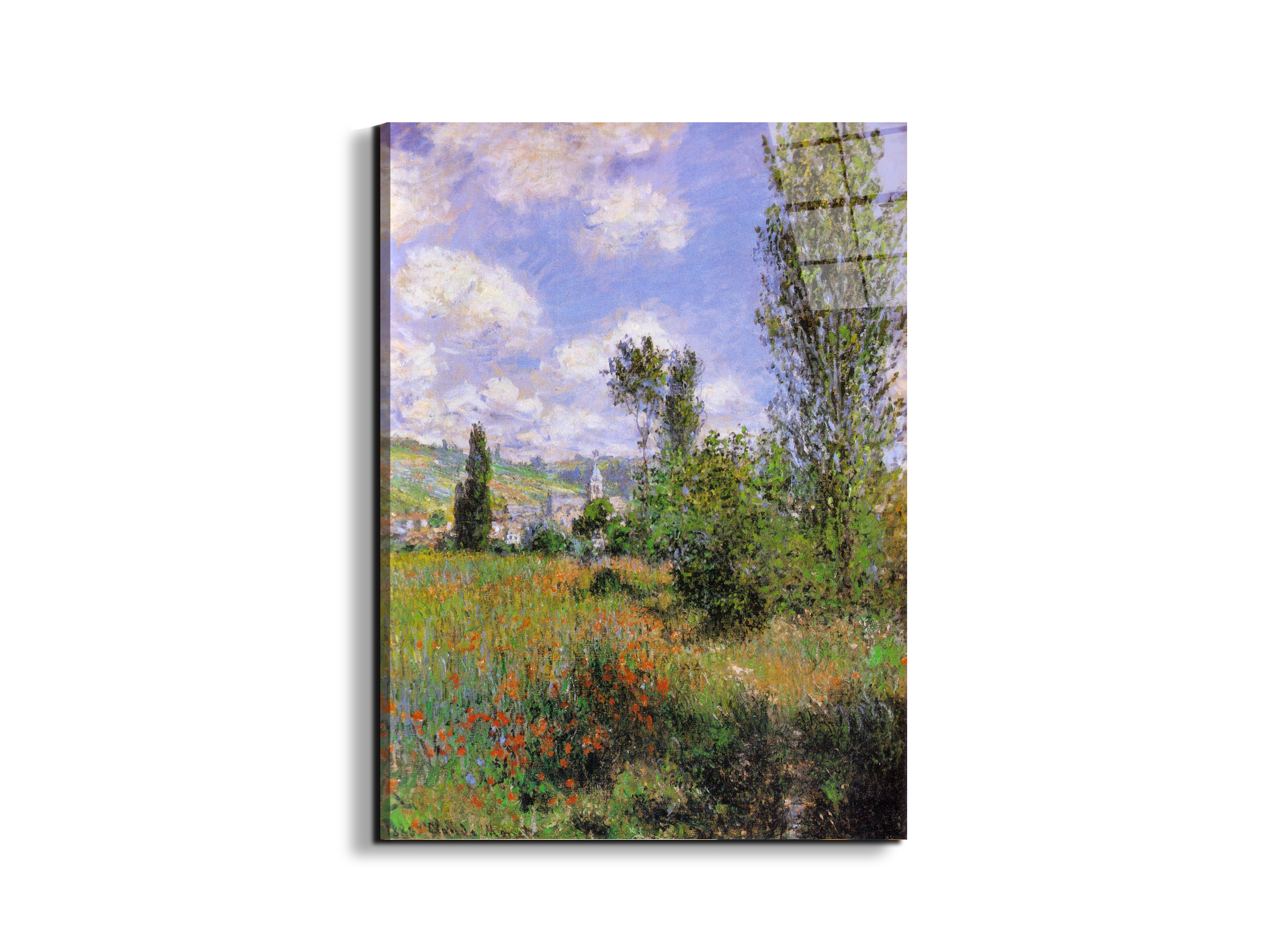 sentier-ile-saint-martin-1880as91923-