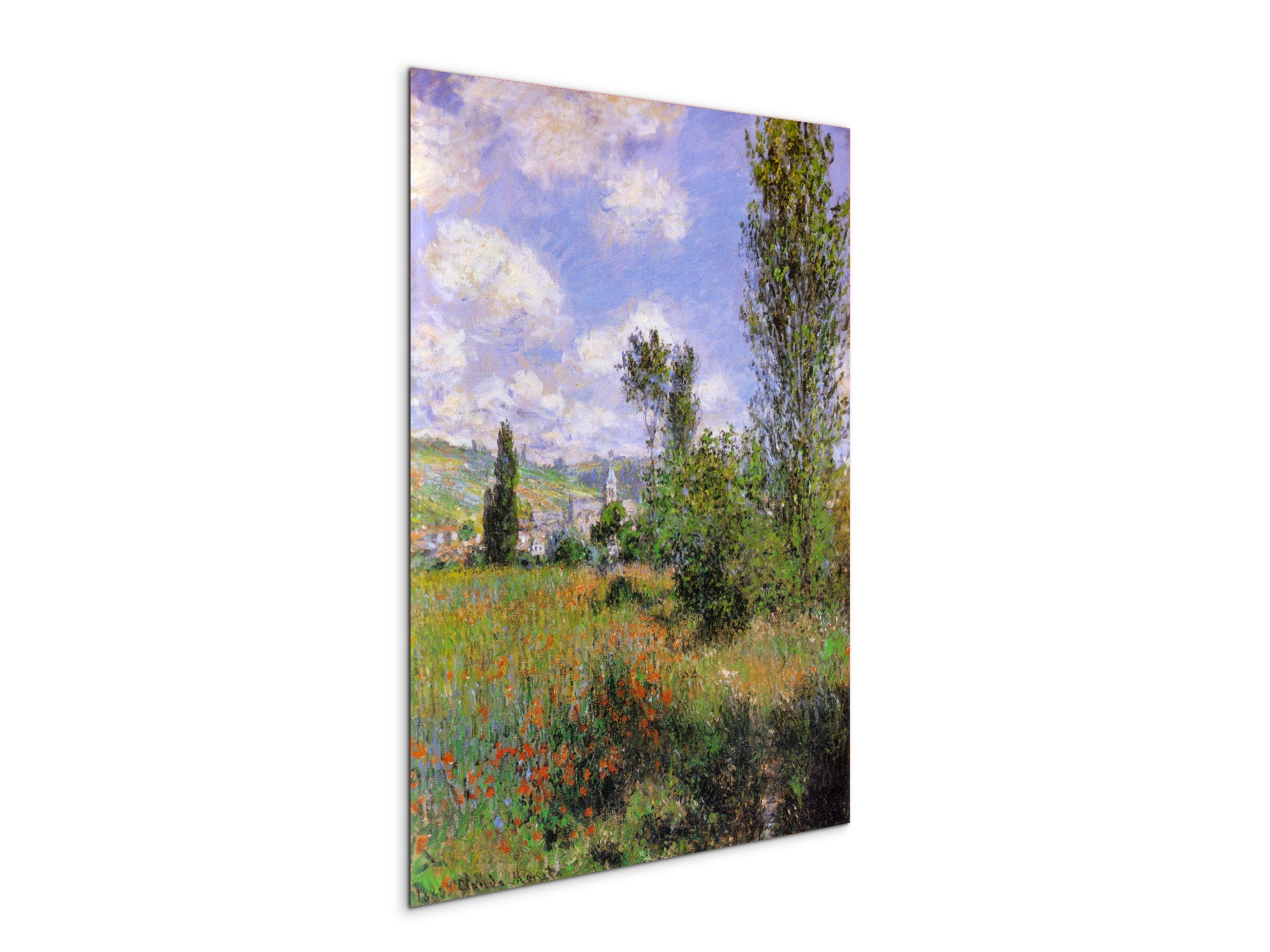 sentier-ile-saint-martin-1880as91923-