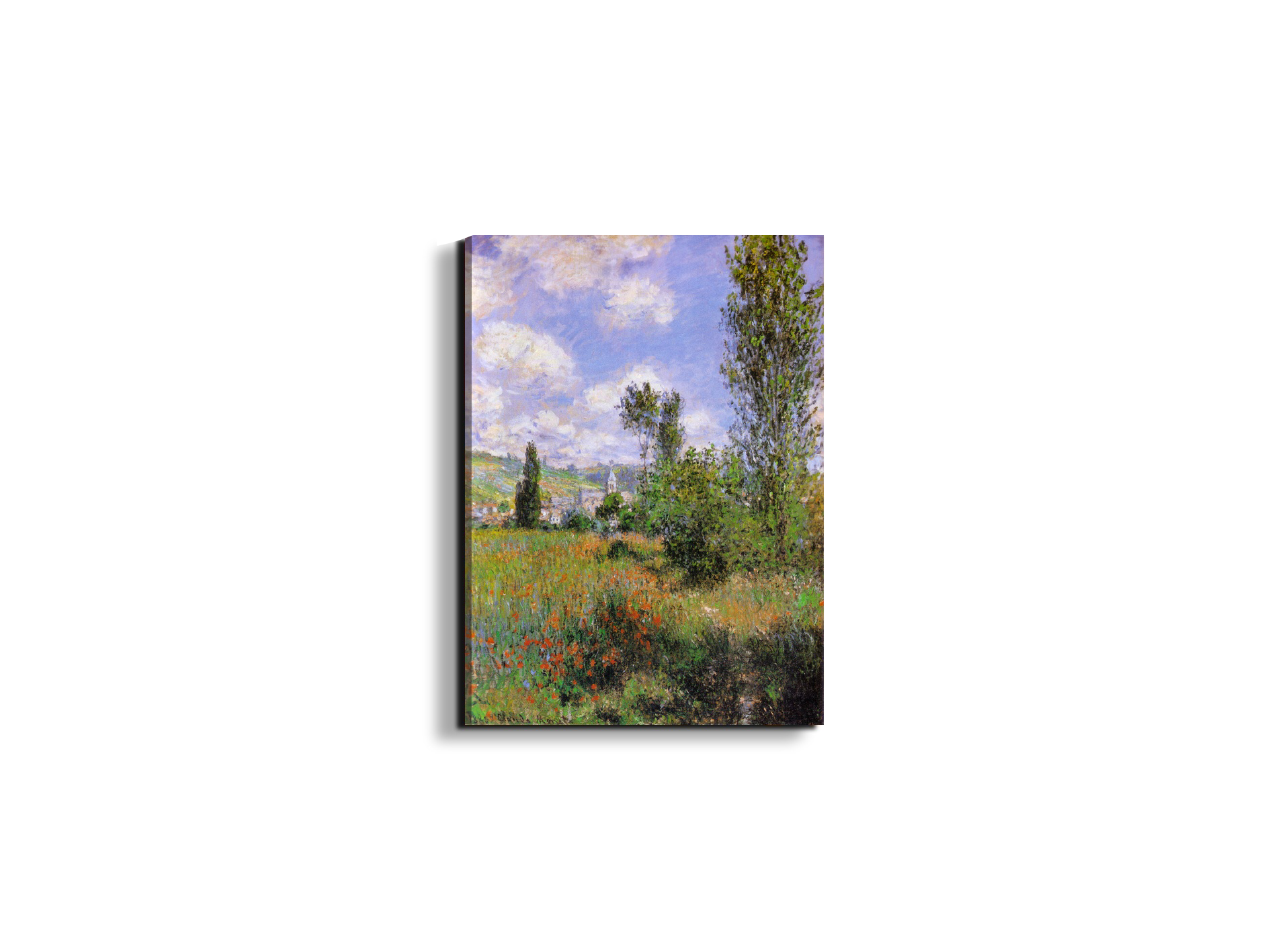 sentier-ile-saint-martin-1880as91923-