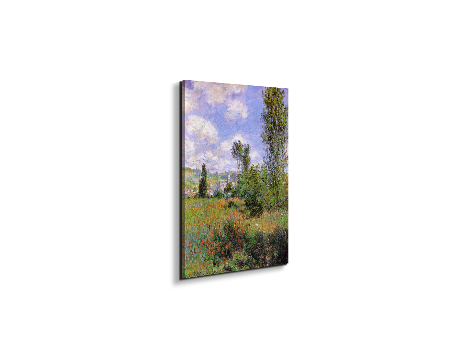 sentier-ile-saint-martin-1880as91923-