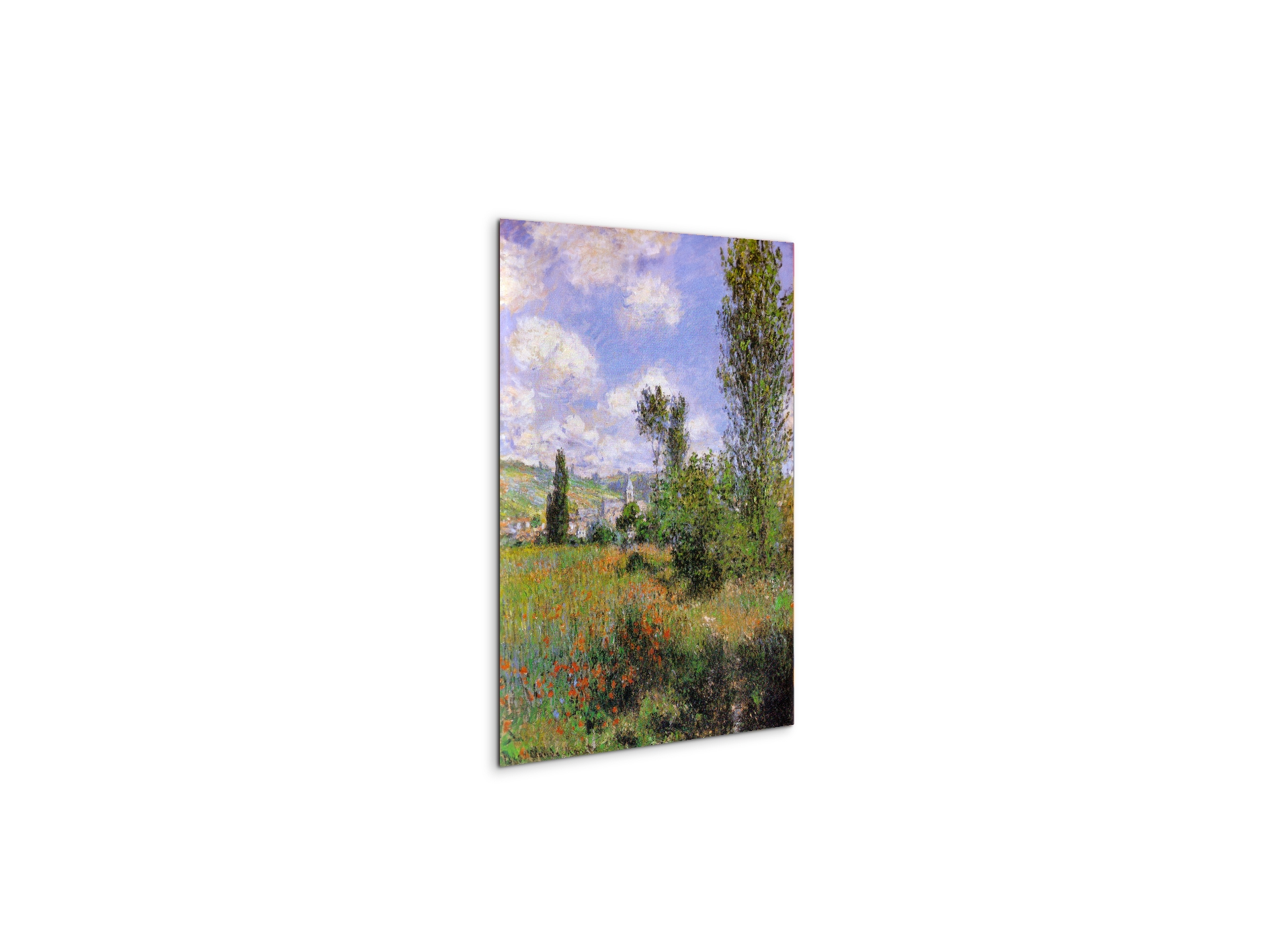 sentier-ile-saint-martin-1880as91923-