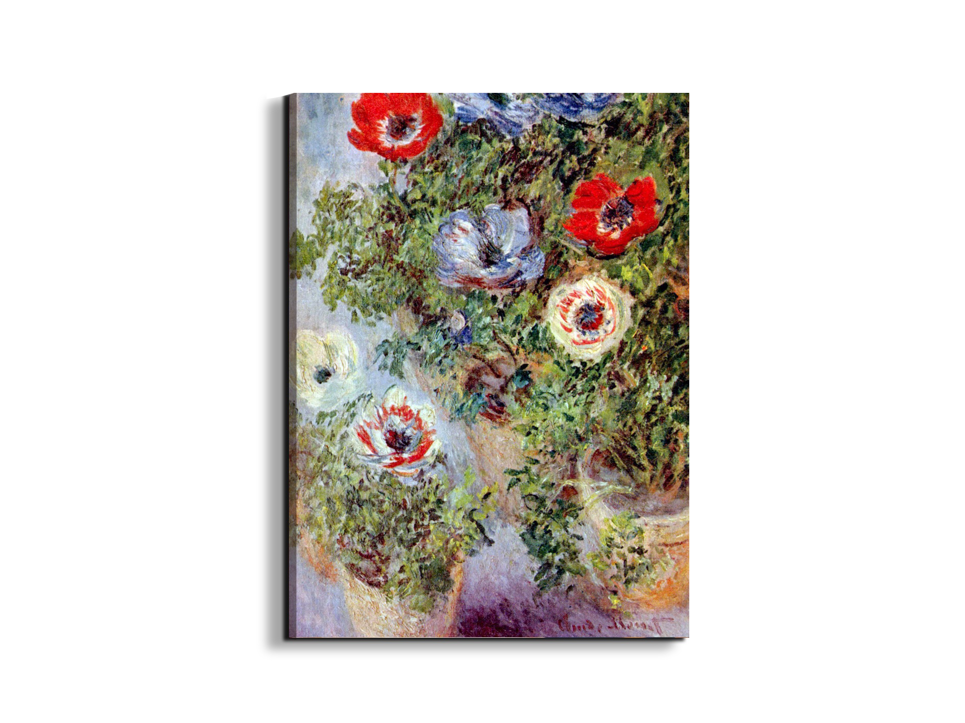 still-life-with-anemonesas91933-