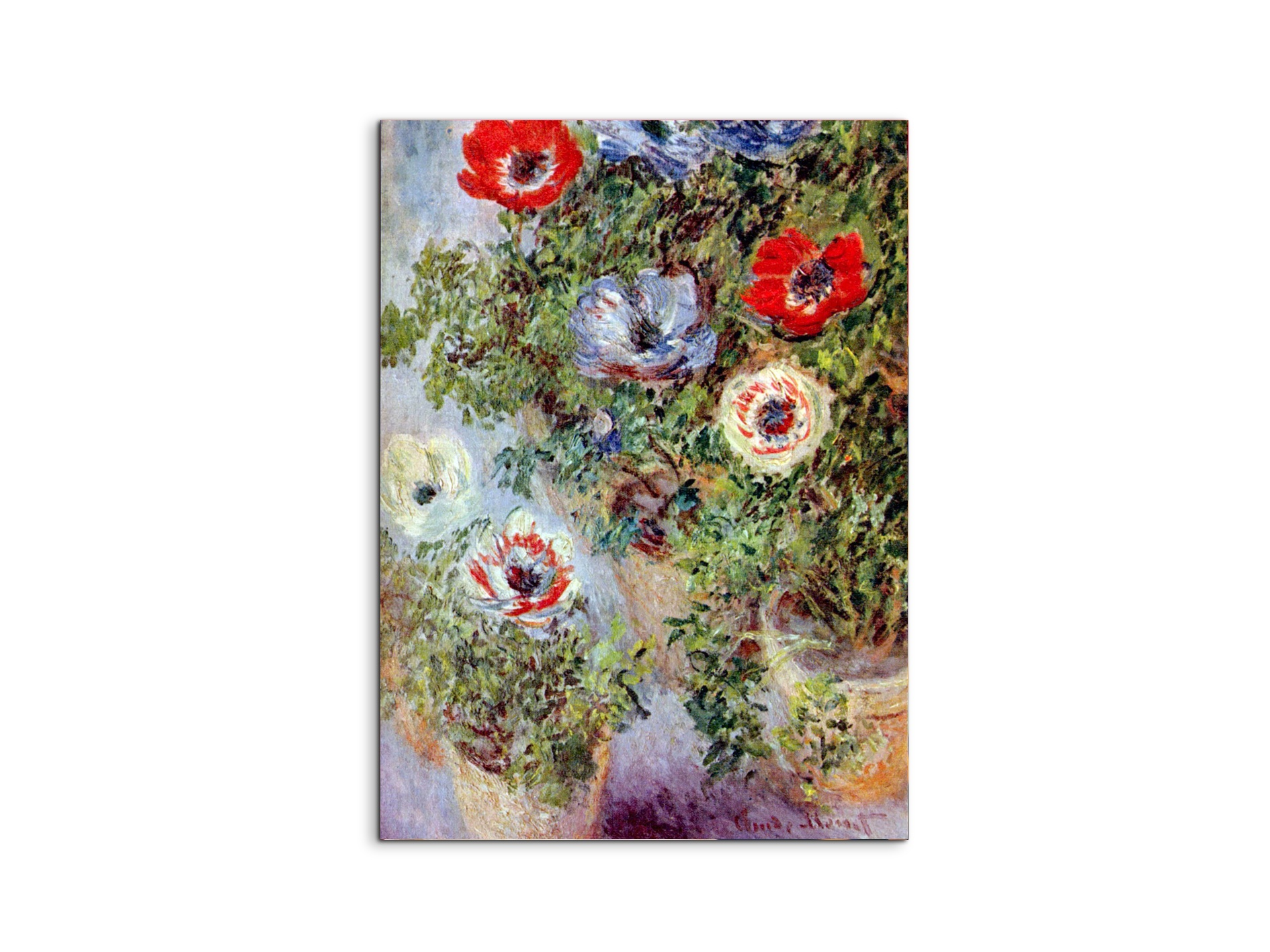 still-life-with-anemonesas91933-