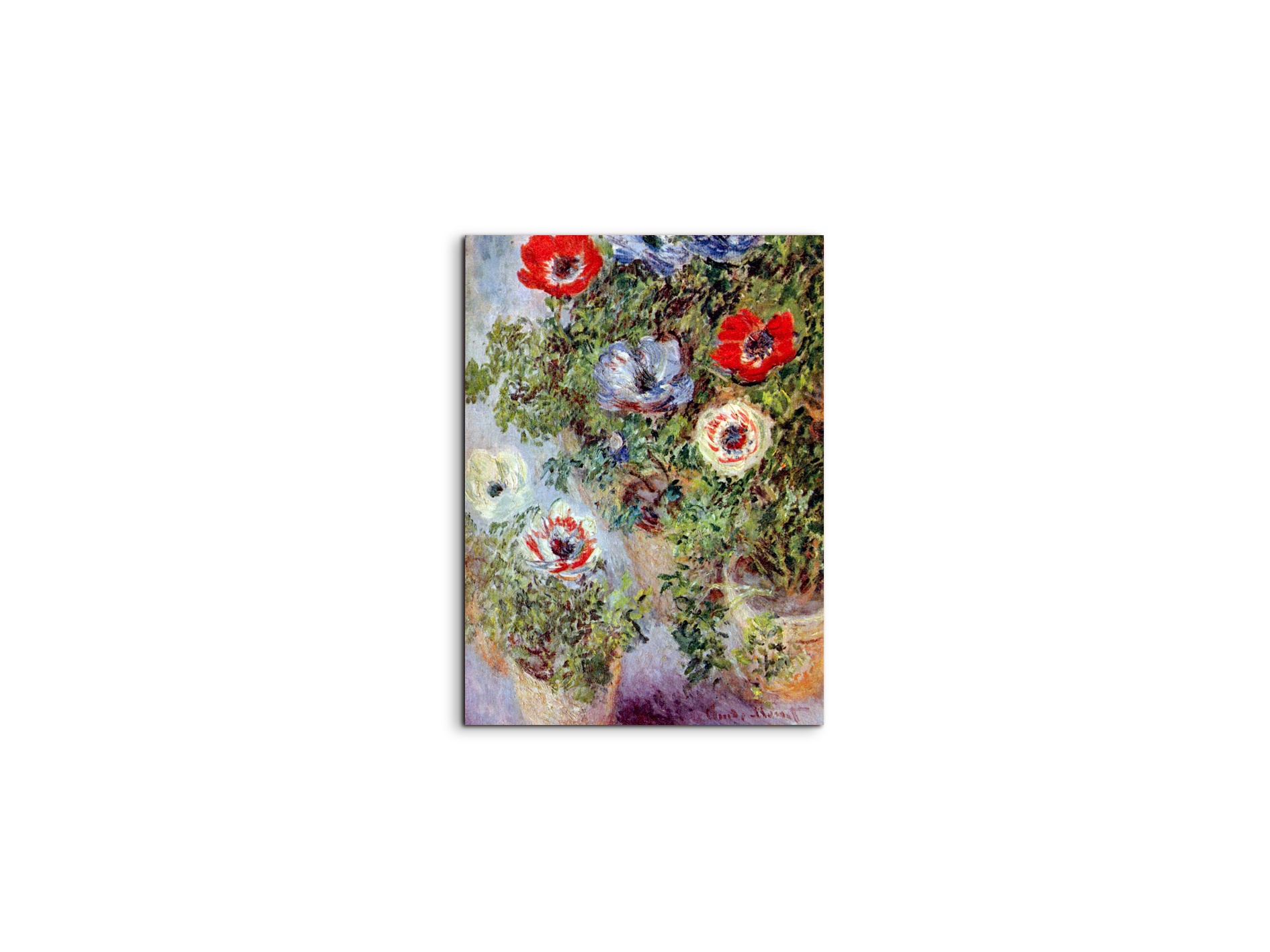 still-life-with-anemonesas91933-