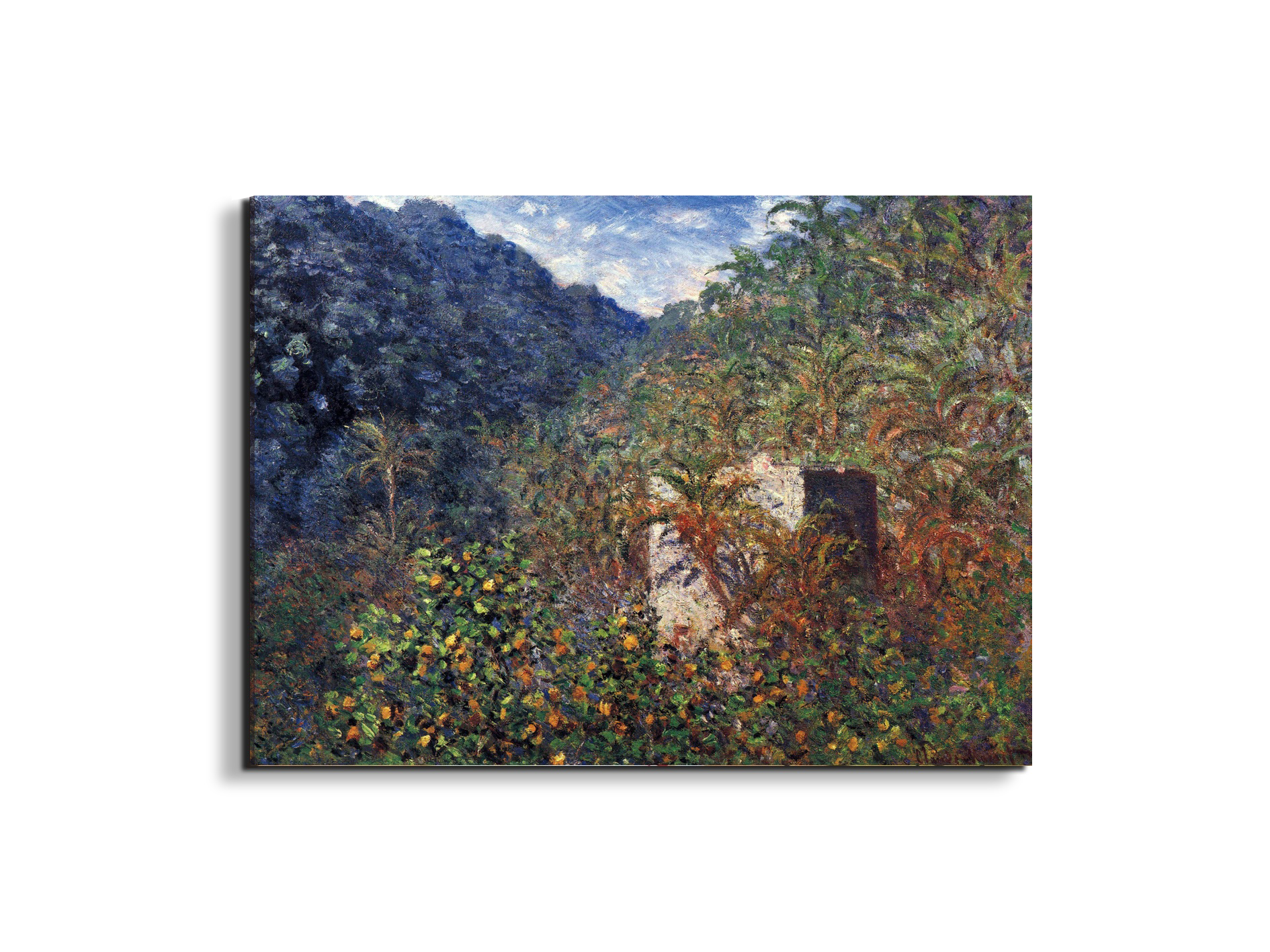 the-valley-sasso-bordigheraas91997-