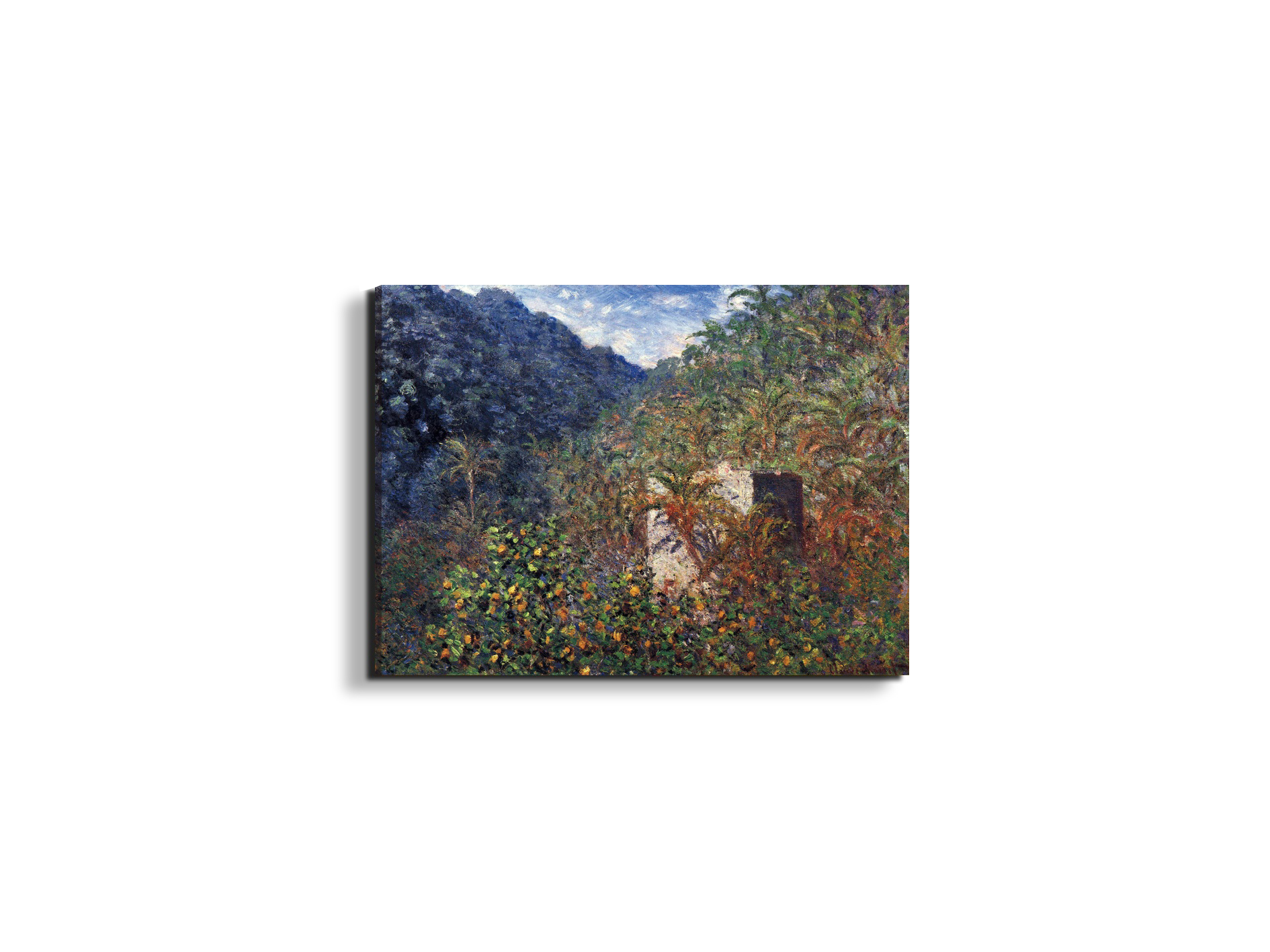 the-valley-sasso-bordigheraas91997-