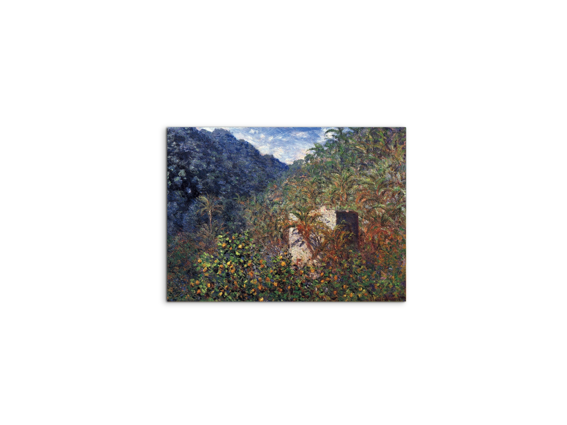 the-valley-sasso-bordigheraas91997-