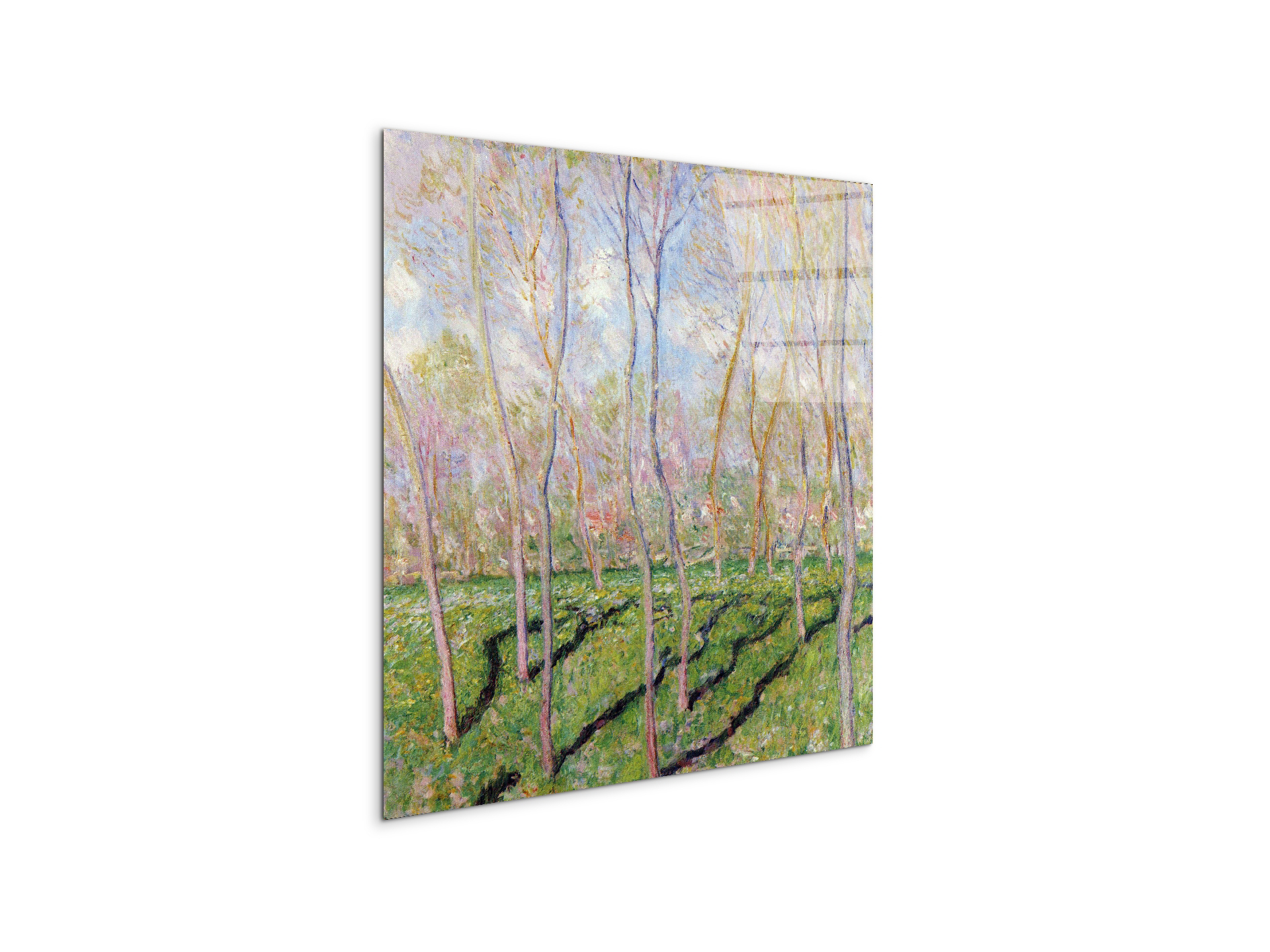 trees-in-winter-look-at-bennecourtas92001-#materiale_CrystalArt/dimensioni_58x58