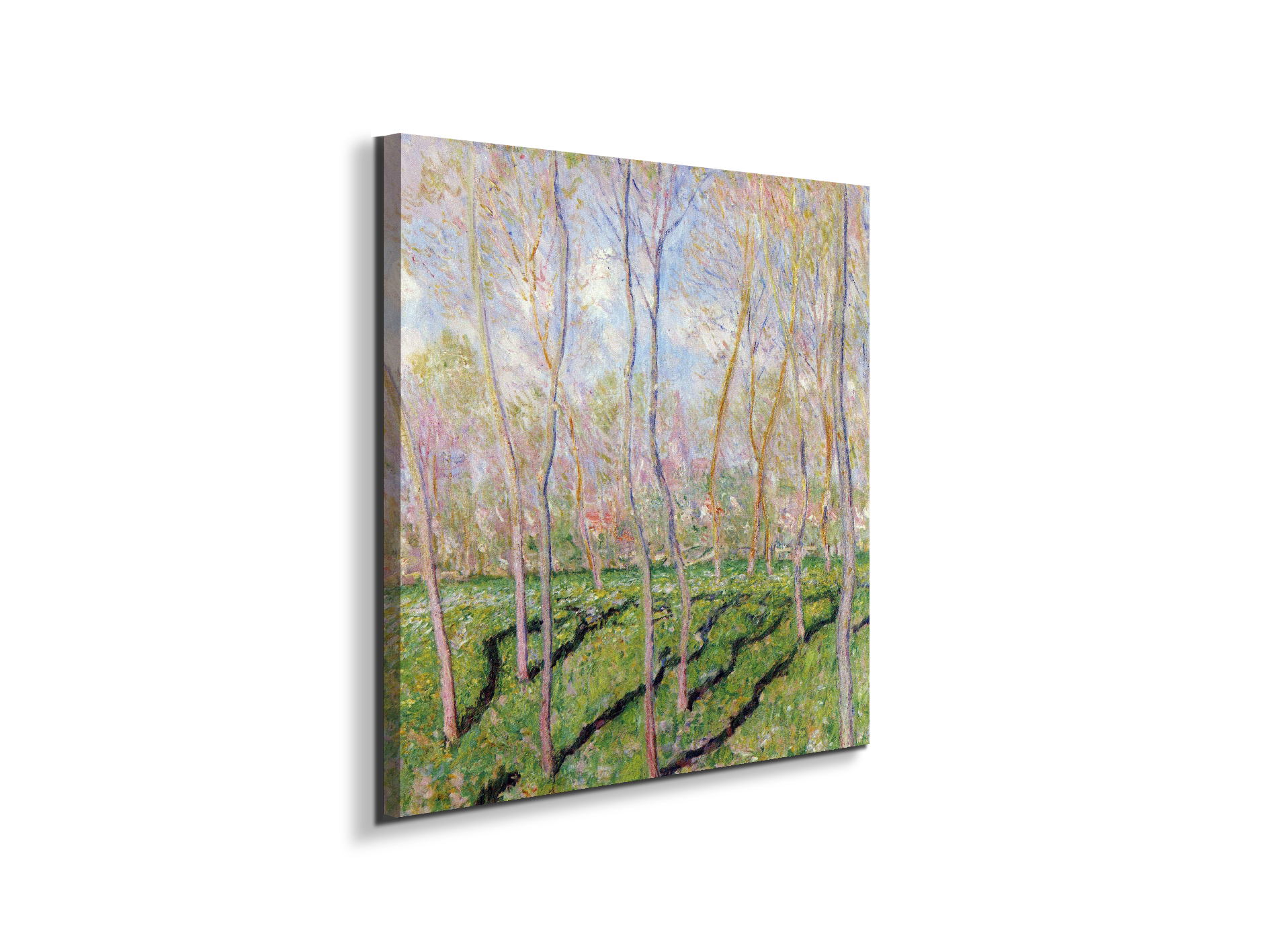 trees-in-winter-look-at-bennecourtas92001-#materiale_EarthArt/dimensioni_58x58