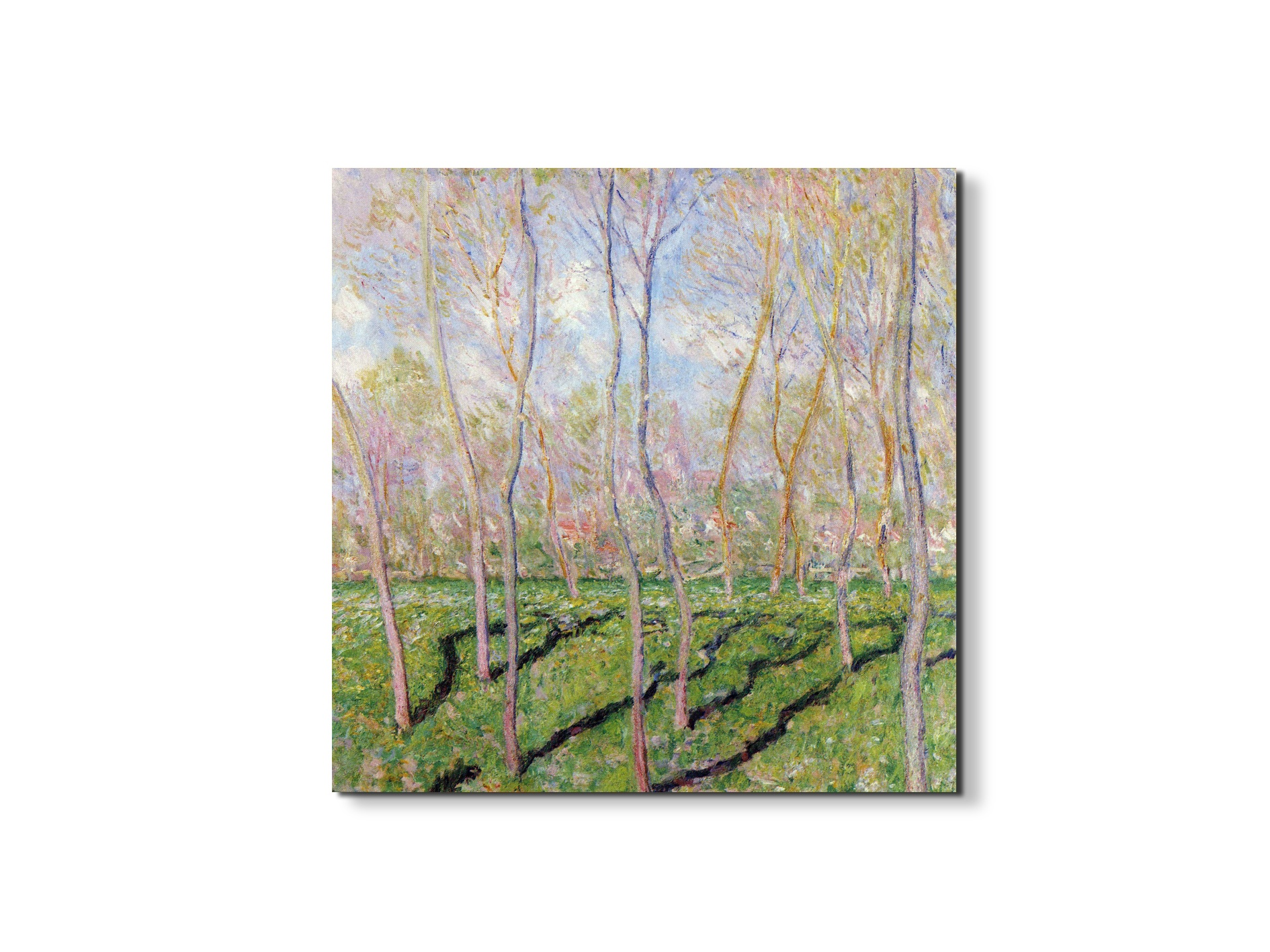 trees-in-winter-look-at-bennecourtas92001-#materiale_EarthArt Materic/dimensioni_58x58